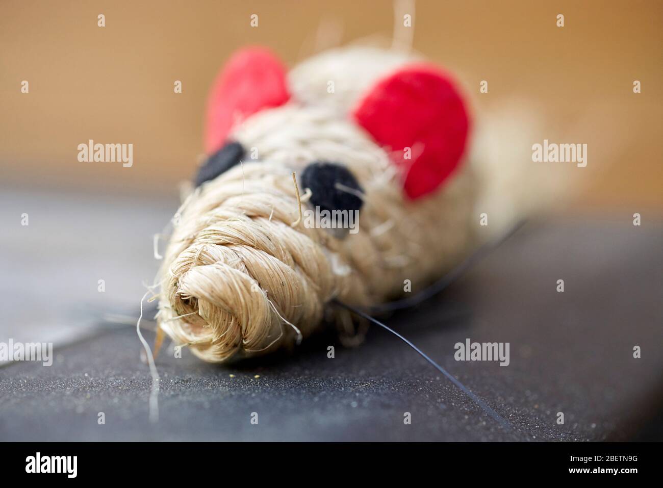 Maus-Spielzeug Stockfoto