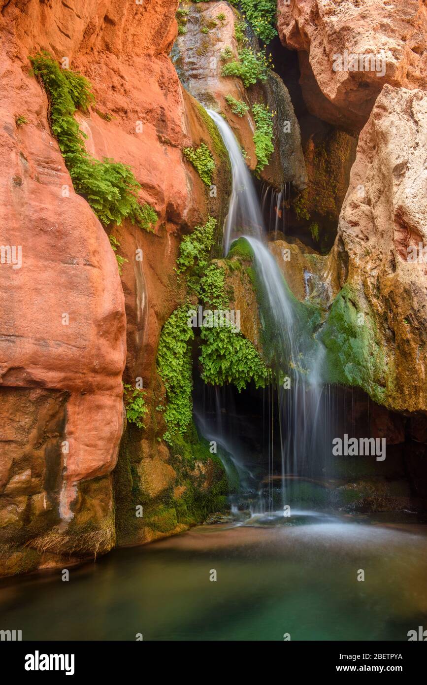 Elves Chasm Wasserfall, Grand Canyon Nationalpark, Arizona, USA Stockfoto