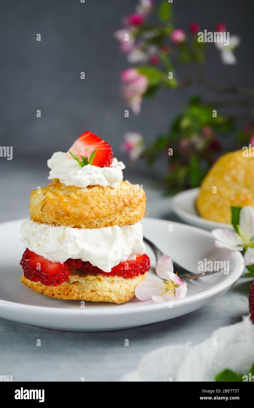 Hausgemachte Erdbeer-Shortcake mit gefüllter Sahne Belag, selektive Fokus Stockfoto