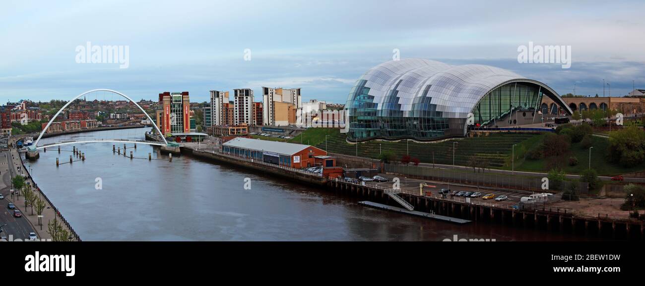 Tyne River, Newcaste upon Tyne, Gateshead, Sage und Flussufer, Abend, NE England, Großbritannien, Brücken, Gateshead Millennium Bridge Stockfoto