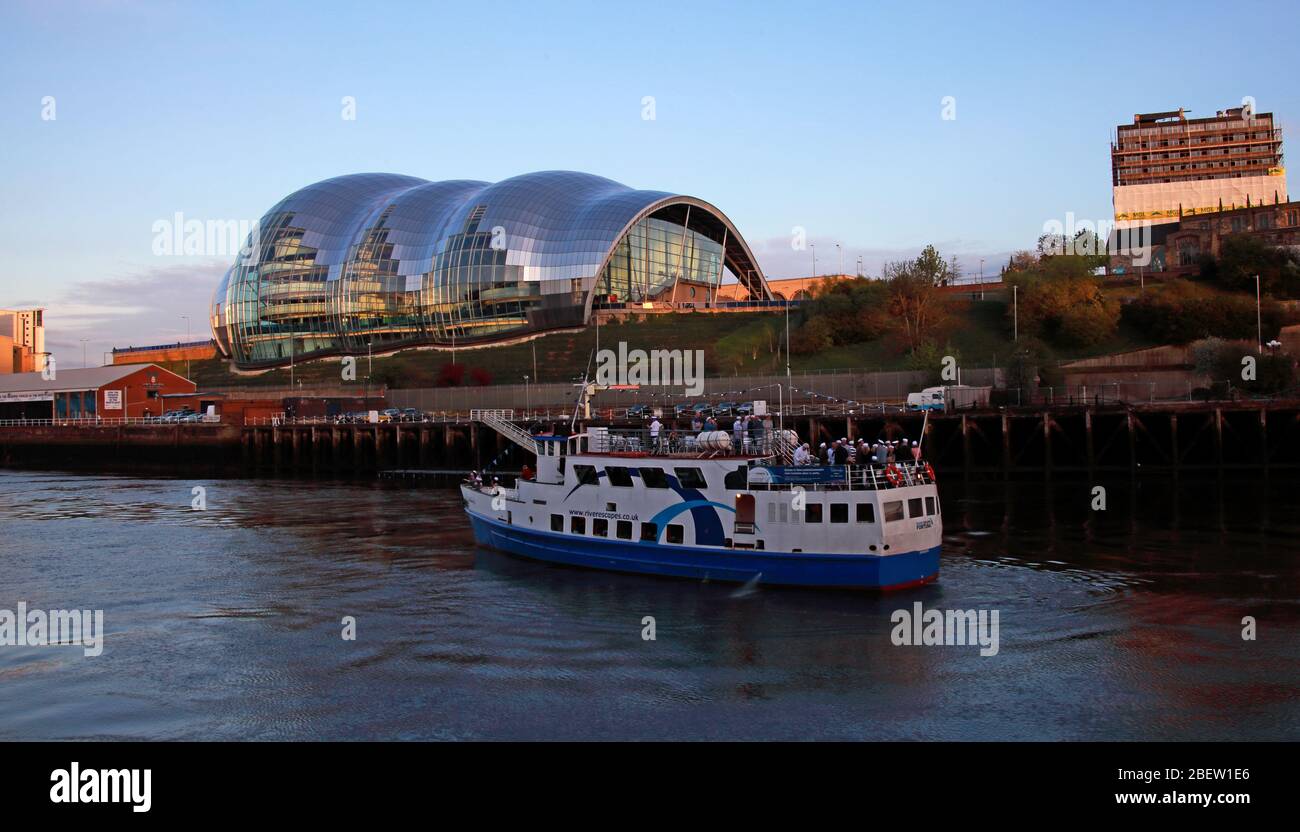 Tyne River, Newcaste upon Tyne, Gateshead, Sage und Flussufer, Abend, NE England, Großbritannien, Brücken, Gateshead Millennium Bridge Stockfoto