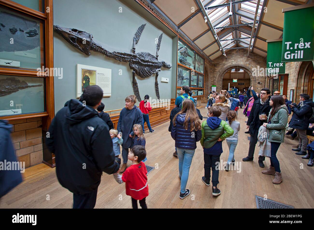 Erkunden Sie das Natural History Museum, London Stockfoto