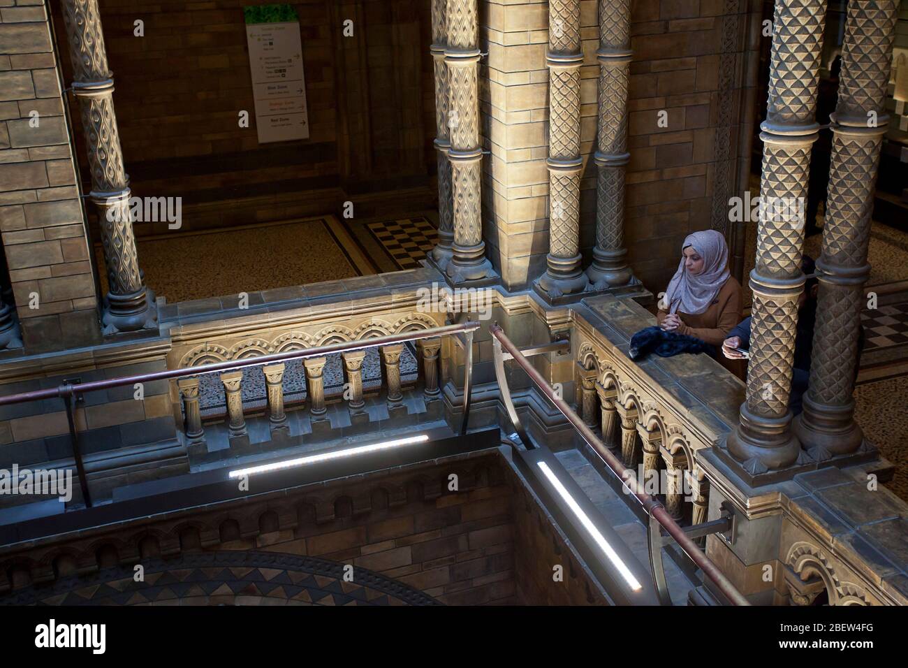 Erkunden Sie das Natural History Museum, London Stockfoto