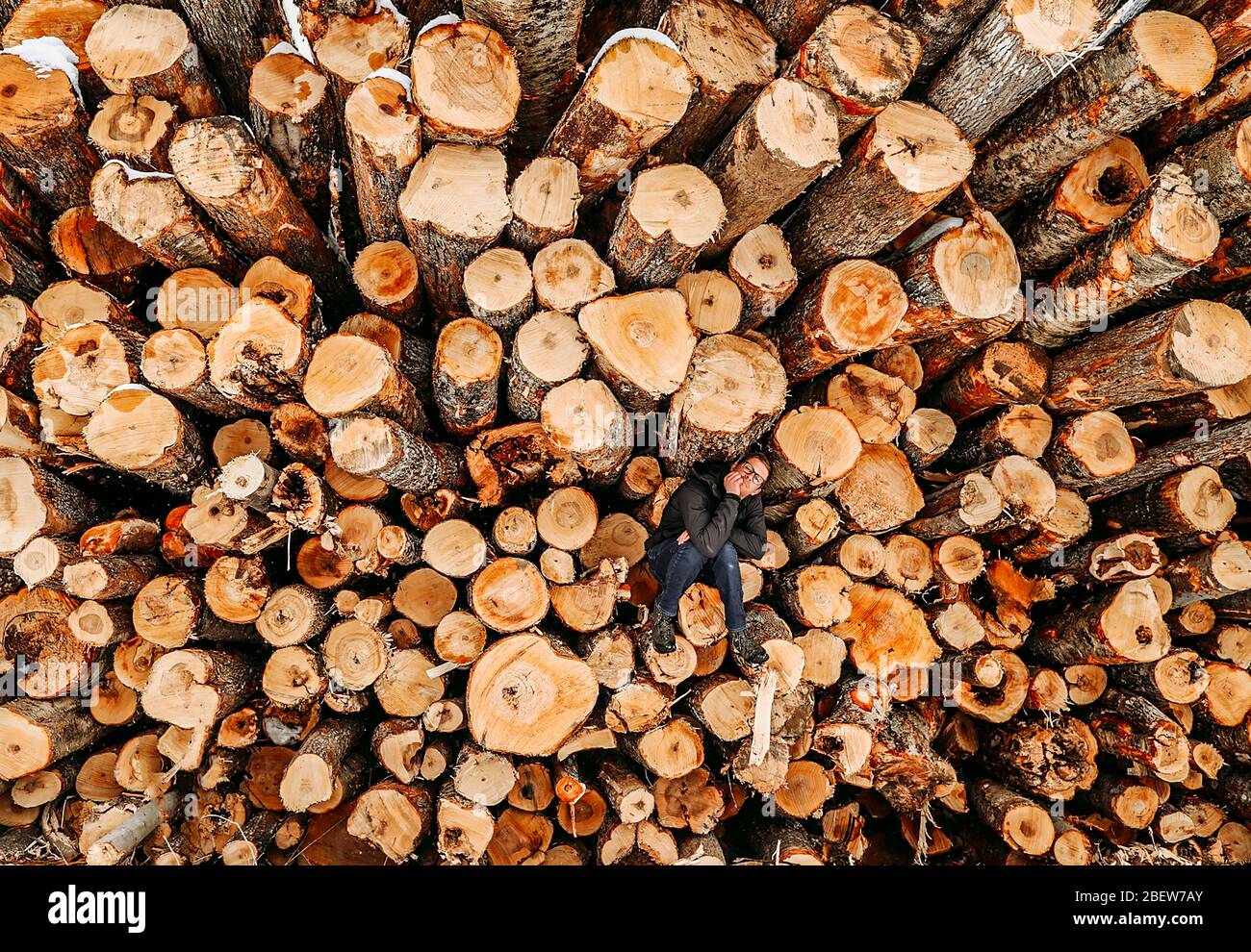 Der Mann sitzt allein auf einem Stapel von geschnittenen Baumstämmen mit Kinn auf der Hand Stockfoto