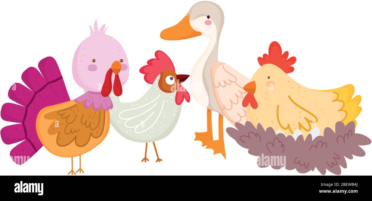 Bauernhof Tiere Geflügel Gänse Ente Hahn truthahn Huhn und Huhn Cartoon Vektor Illustration Stock Vektor