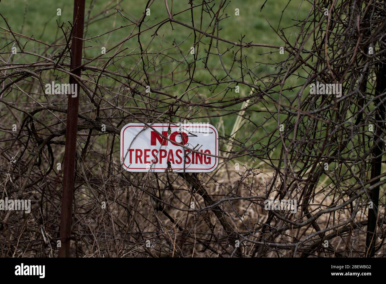 Kein Schild im Wald. Hauslinie mit Stahlzaun und kein Hausfriedenszeichen, um unerwünschte Besucher draußen zu halten. Privates Hotel Konzept. Stockfoto