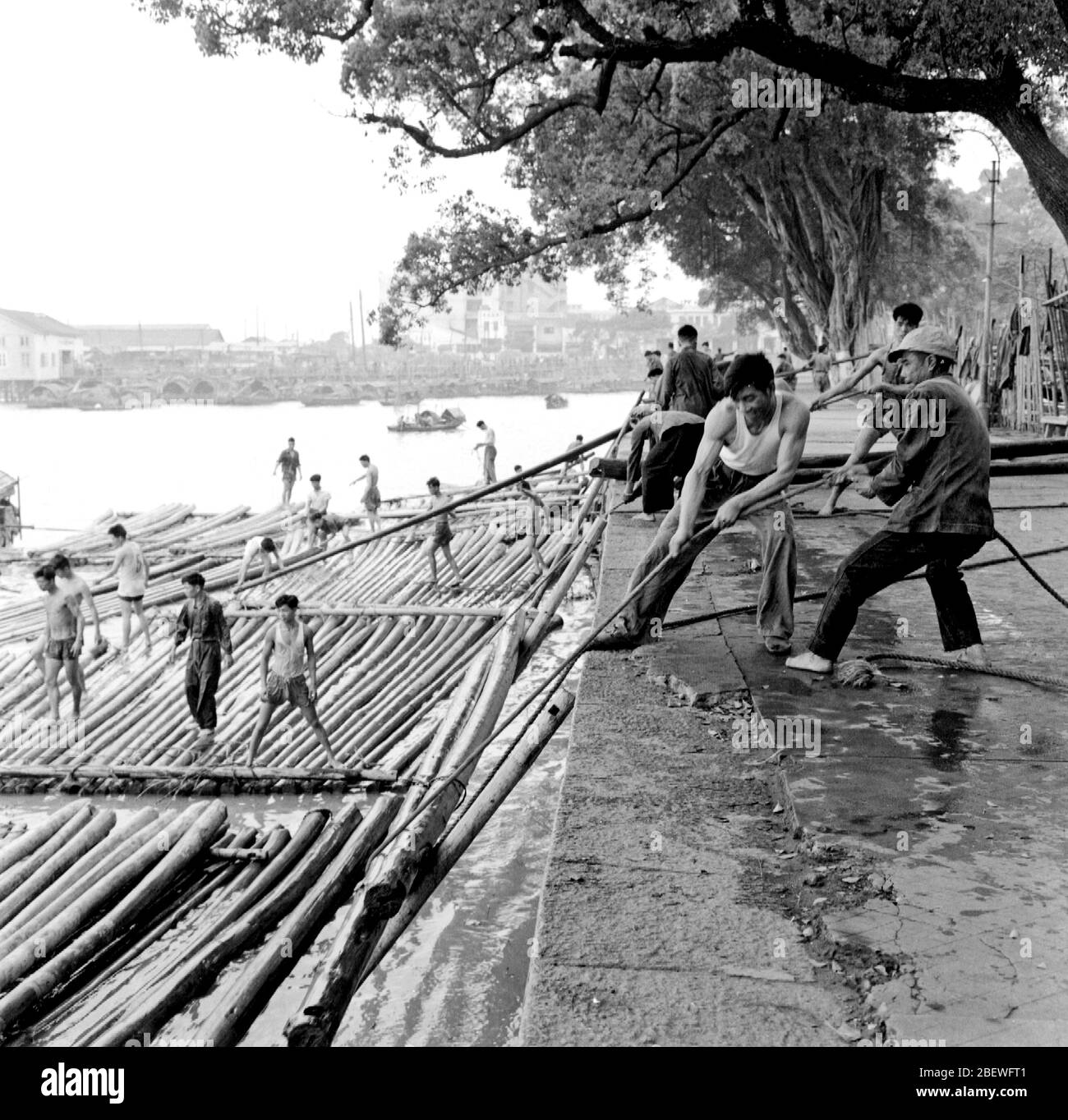 1964 arbeiteten Arbeiter in den Holzflößen auf der sandigen Oberfläche an der Nordseite von Baietan im Perlenfluss in Guangzhou Stockfoto
