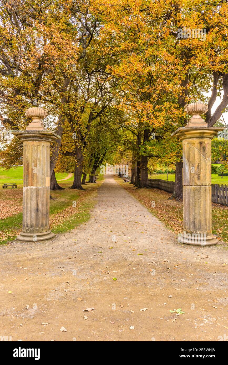 Genießen Sie den Blick auf die von Bäumen gesäumte Straße im Herbst, die durch zwei große Steintaufsäulen in den gepflegten Gärten von Port Arthur führt. Stockfoto