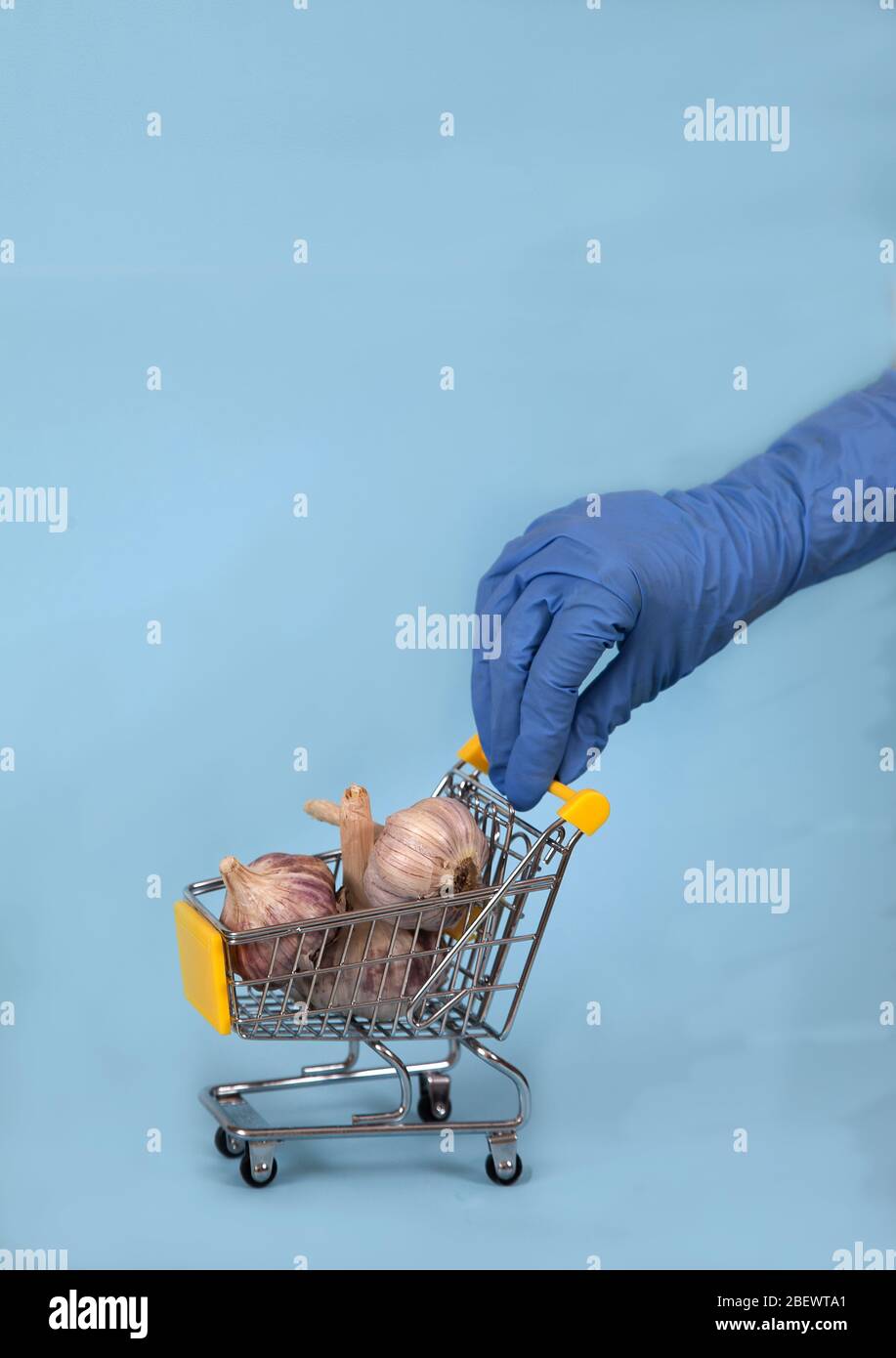 Weibliche Hand in einem blauen Gummihandschuh rollt einen Supermarkt-Wagen mit Knoblauch auf blauem Hintergrund. Gewürz. Schutz. Covid 19 Stockfoto