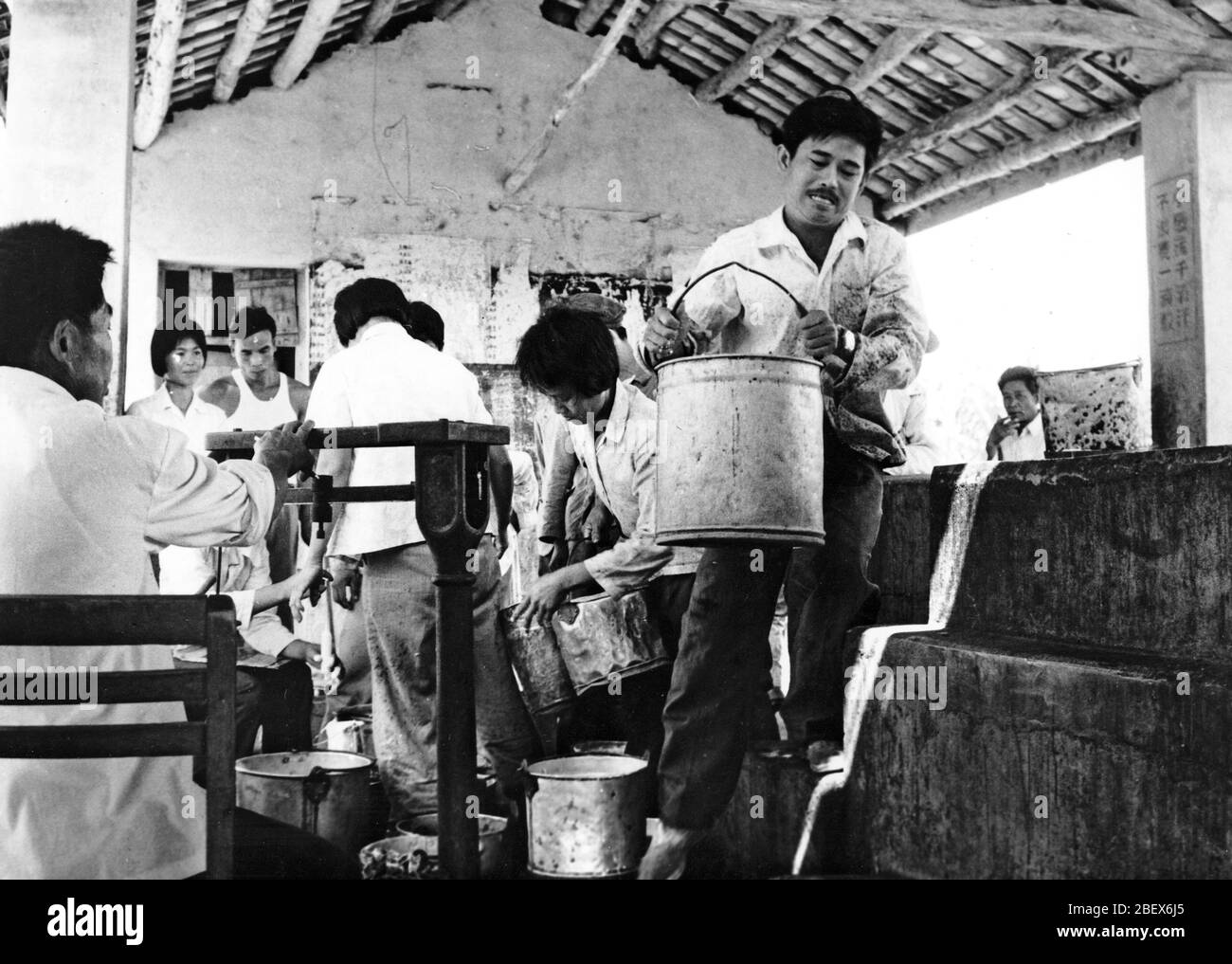 Im April 1985 schickten Arbeiter auf der Licai Farm auf der Insel Hainan Klebstoff Stockfoto