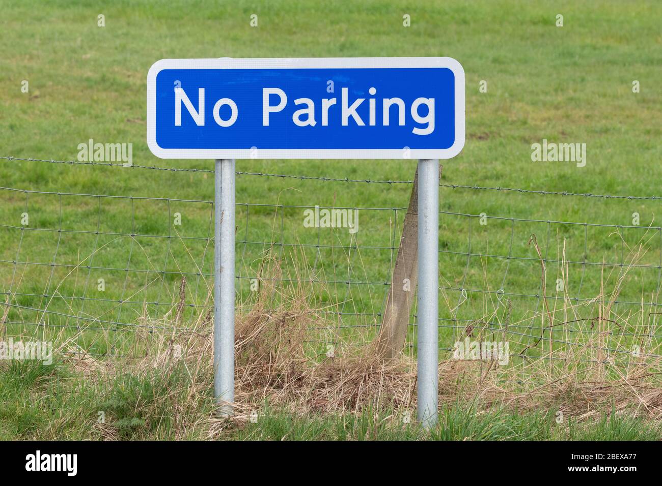 Kein Parkschild - UK - mit Grashintergrund Stockfoto