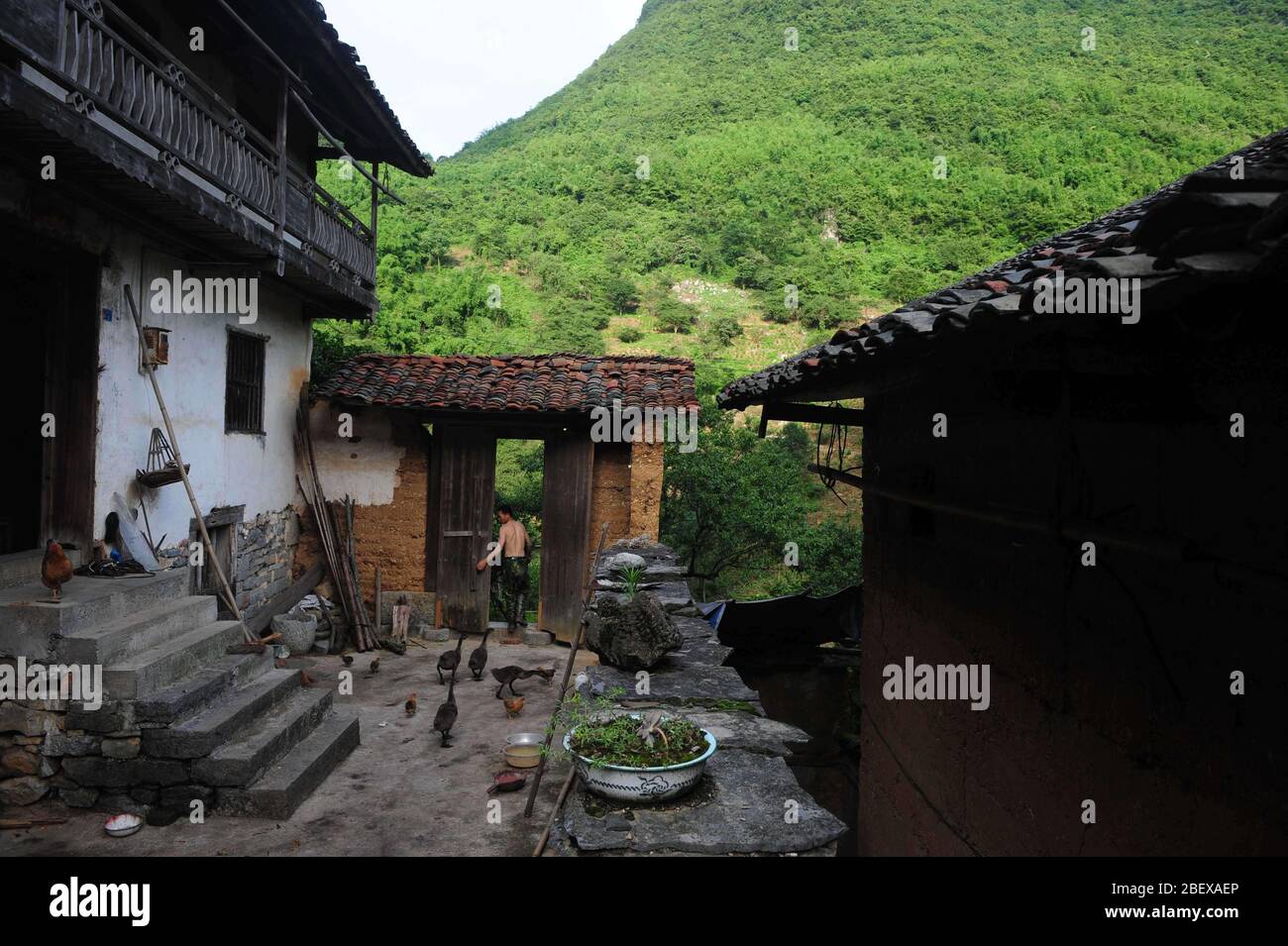 (200416) -- RONGAN, 16. April 2020 (Xinhua) -- Long Gexiong kehrt nach seiner Arbeit im Dorf Tongbantun der Gemeinde Dongqi im Landkreis Rongan, Südchina, Guangxi Zhuang Autonome Region, zurück, 17. Juni 2013. Long Gexiong, 52, verließ mit 24 Jahren seine Heimatstadt und ging auf die Suche nach Arbeitsplätzen in der Stadt Liuzhou, der Autonomen Region Guangxi Zhuang in Südchina. Nach zwei Jahrzehnten Arbeit im Freien kehrte er endlich in sein Heimatdorf in den tiefen Bergen zurück. Lange fiel aus der Schule im Jahr 1986 wegen Armut und eked einen Lebensunterhalt durch das Pflanzen von Pflaumenbäumen. Jedoch führten unfruchtbare Hügel und Wassermangel zu armer h Stockfoto