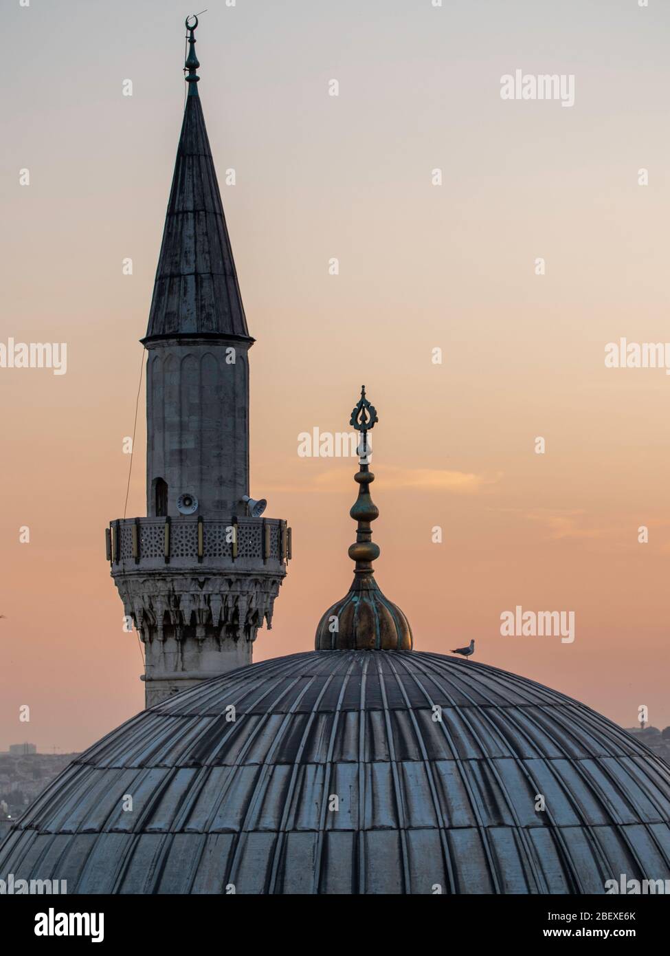 Kuppel und Turm der Istanbuler Moschee bei Sonnenuntergang Stockfoto