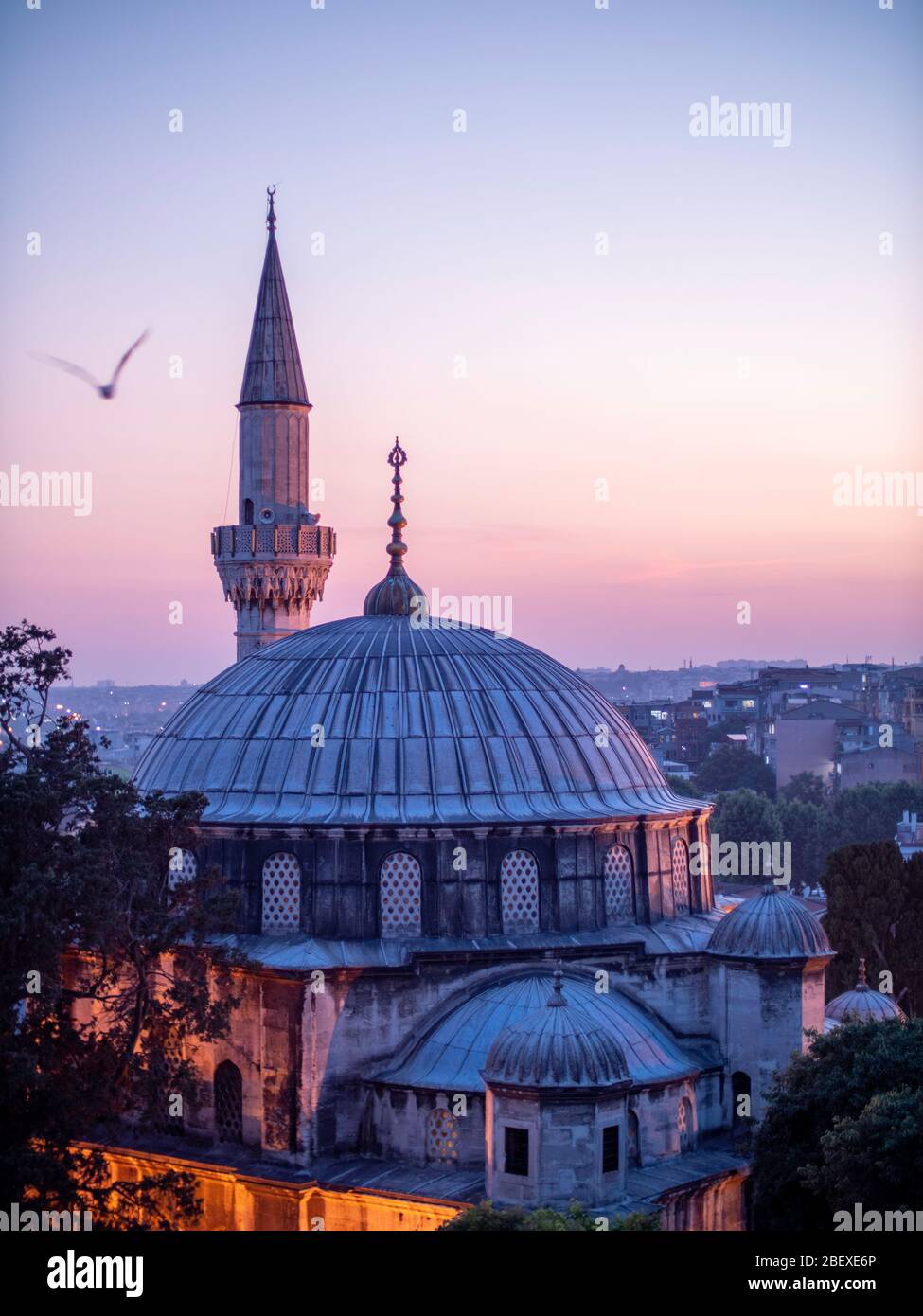Kuppel der Moschee in Istanbul mit Vogel Stockfoto