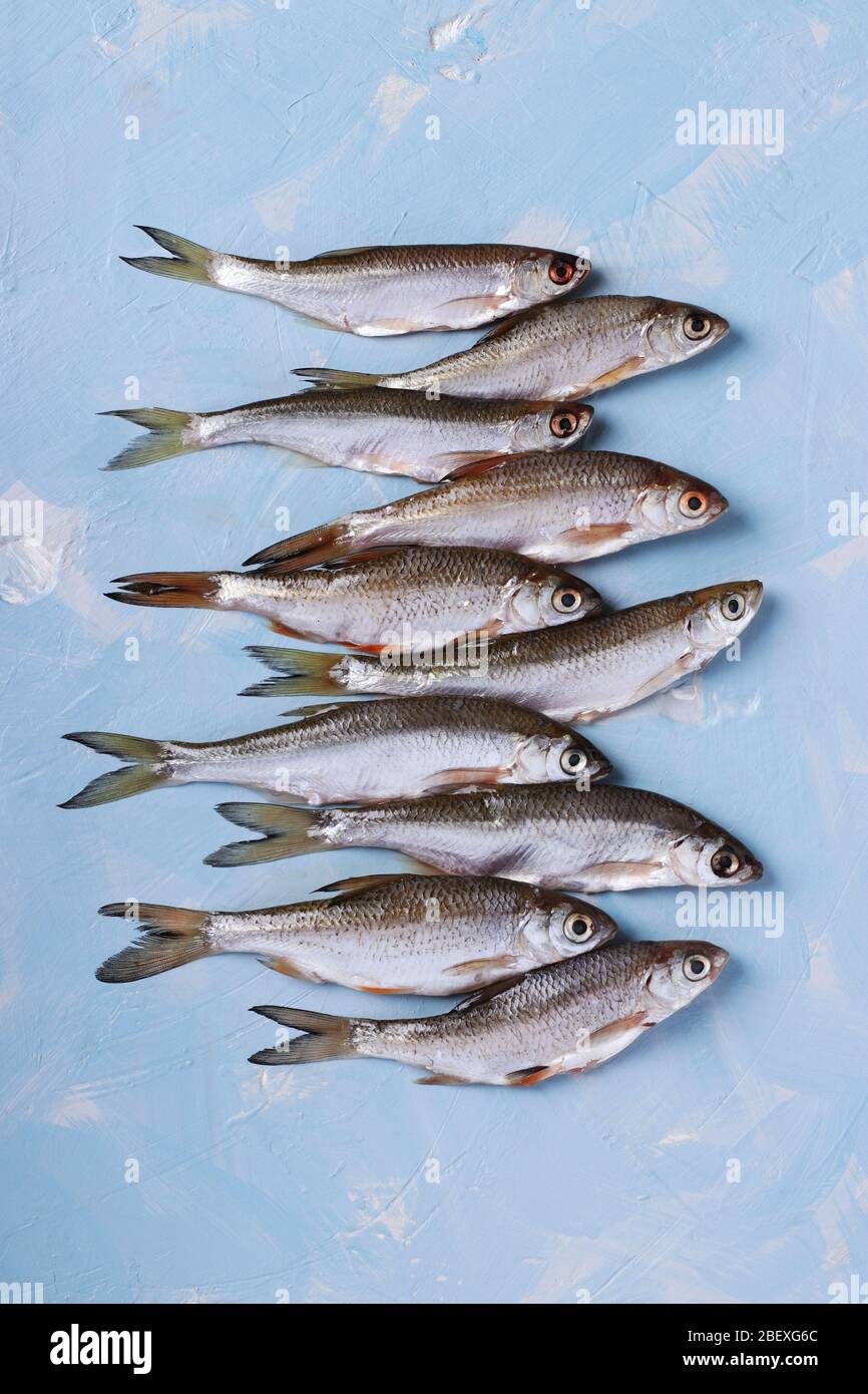 Muster von kleinen Fischen auf blauem Hintergrund, Draufsicht, Vertikale Ausrichtung Stockfoto