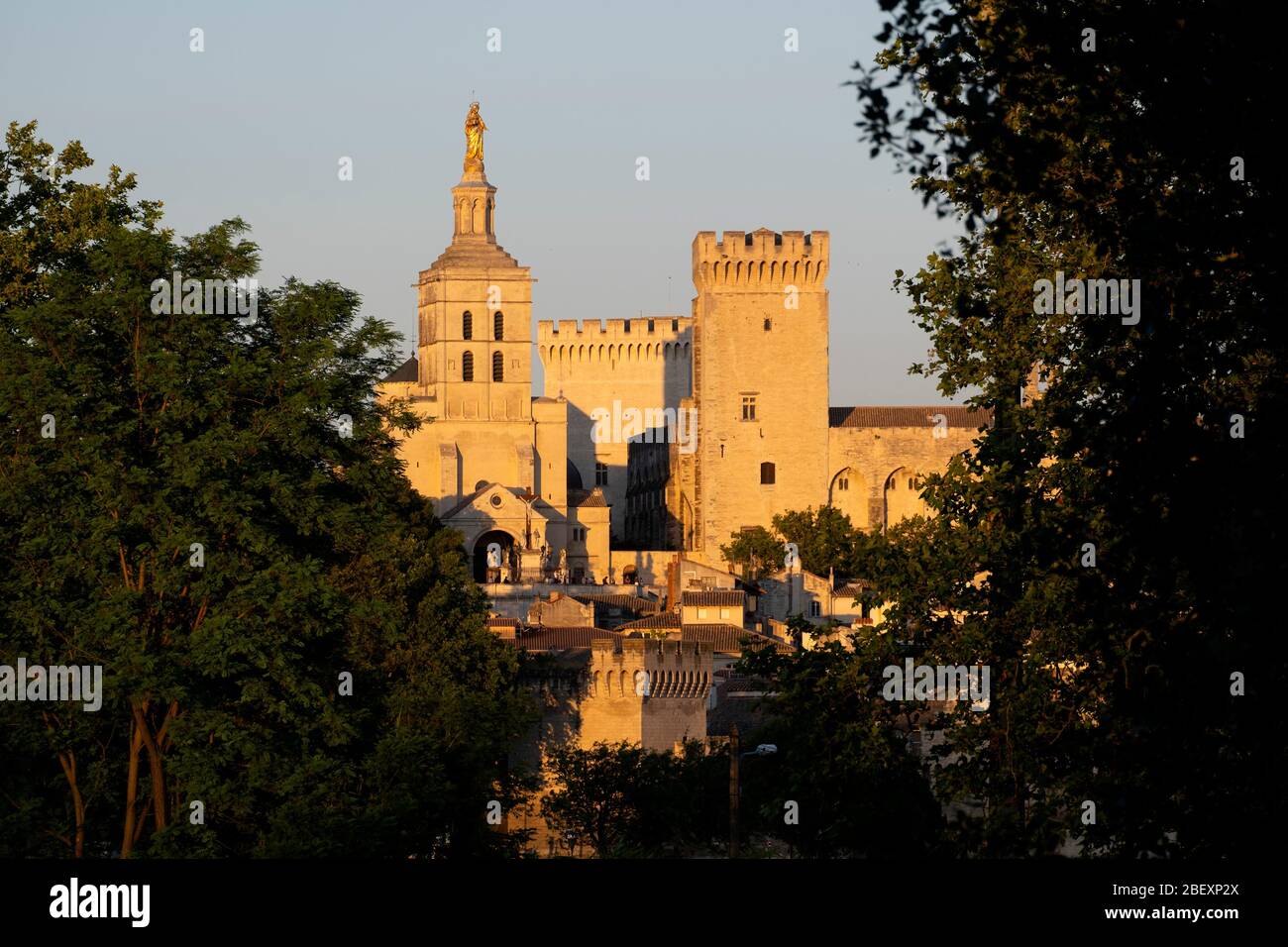 Palais des Papes aka Papstpalast in Avignon, Frankreich, Europa Stockfoto