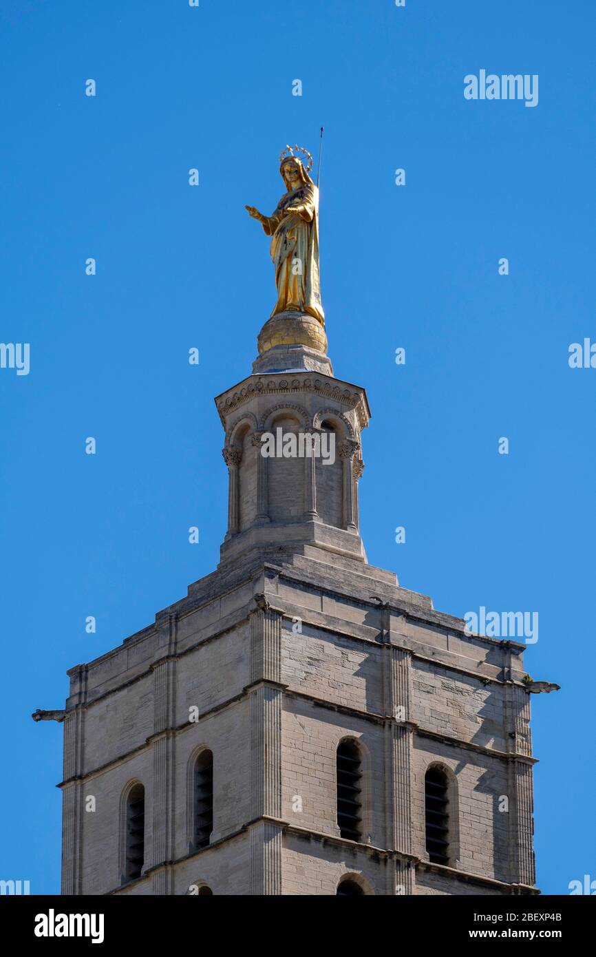 Vergoldete Statue der Jungfrau Maria auf der Kathedrale Notre Dame des Doms d'Avignon in Avignon. Frankreich, Europa Stockfoto