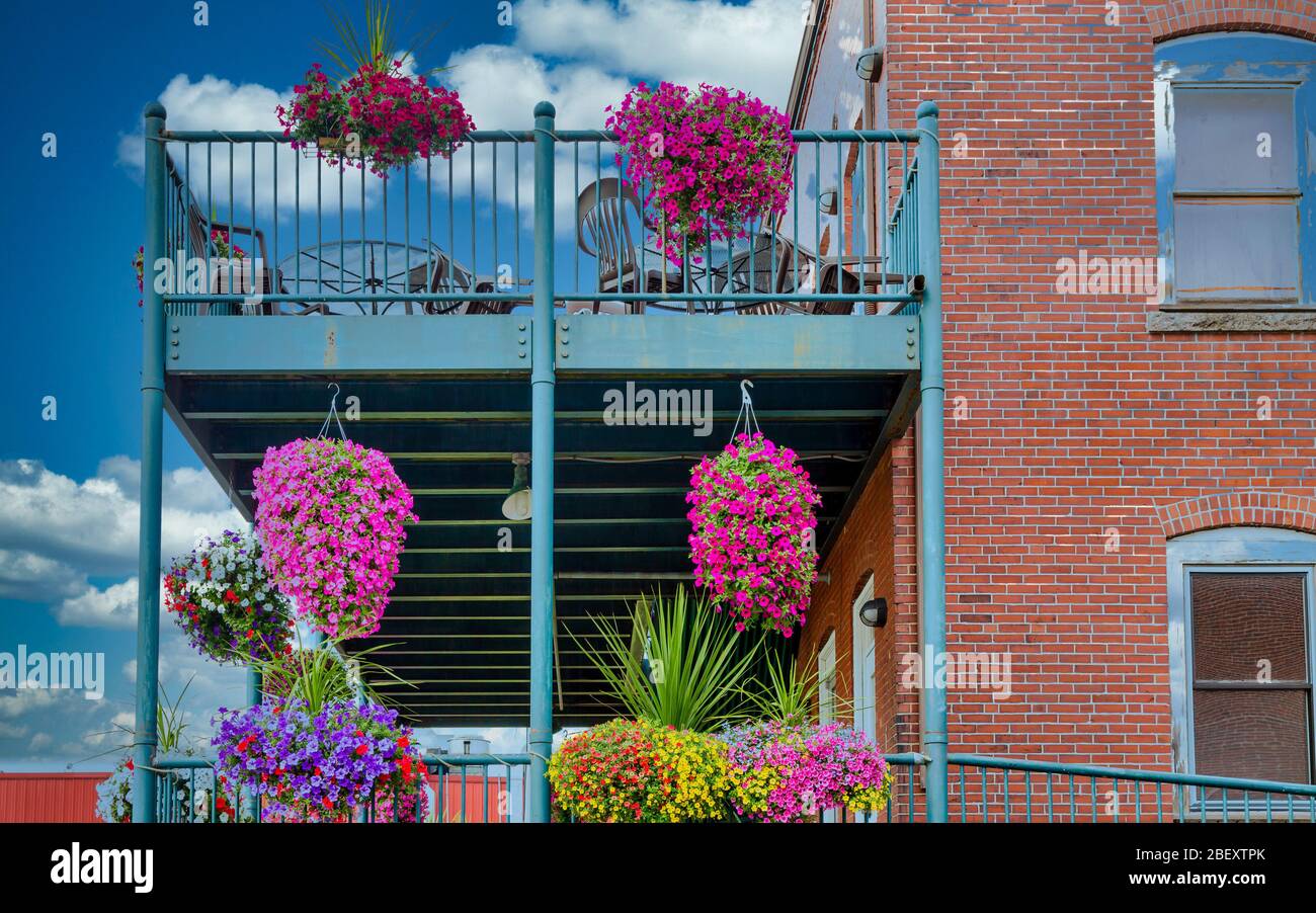 Blumen auf dem Balkon des Ziegelgebäudes Stockfoto