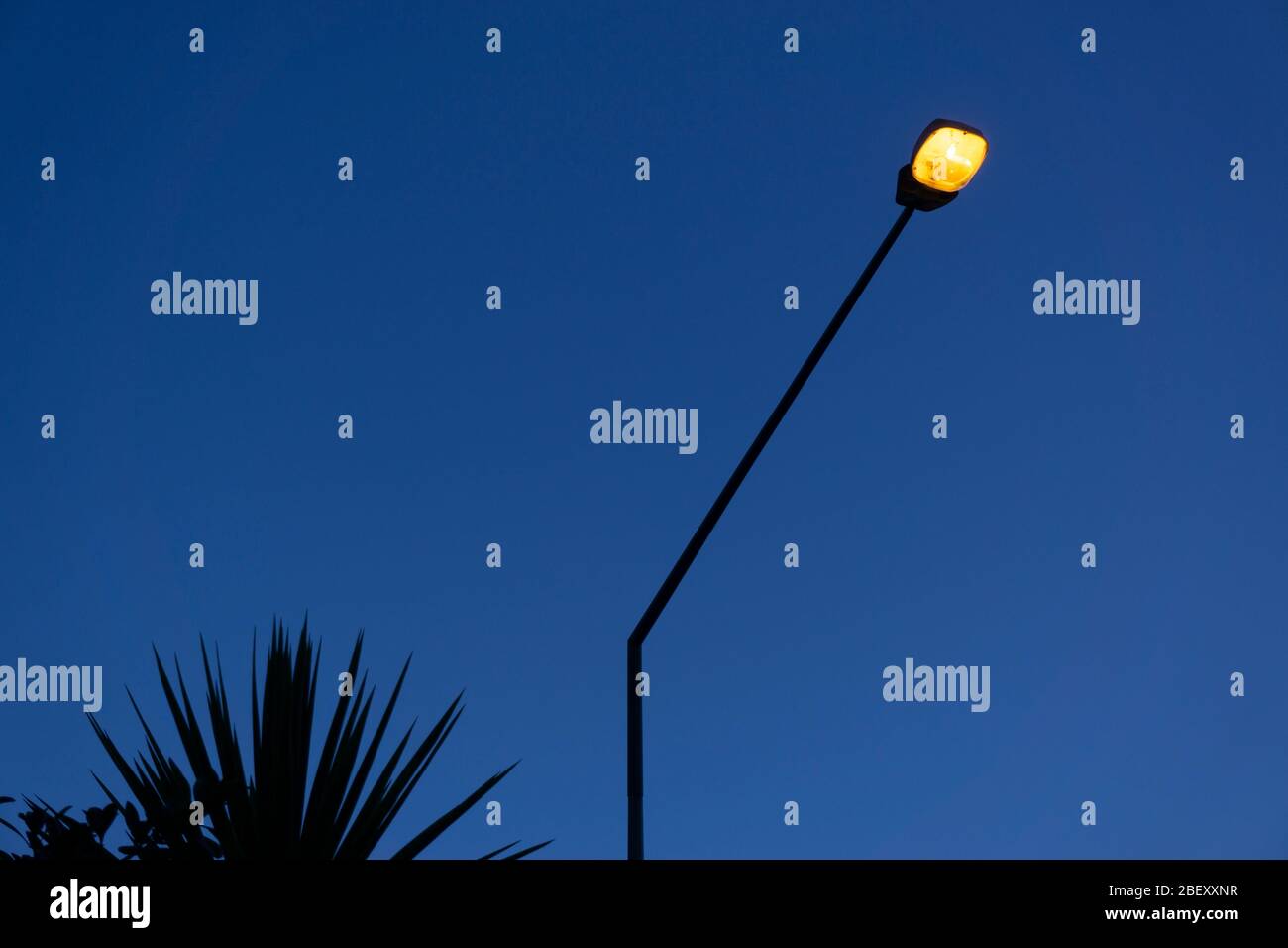 Auckland, Neuseeland. Silhouette der streetlampj Stockfoto