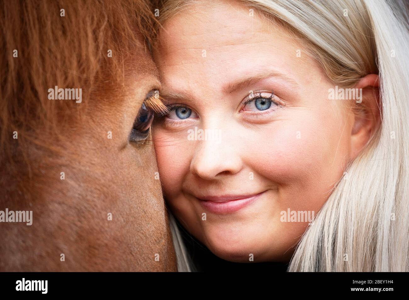 Isländisches Pferd. Eine junge Frau umarmt ihren Kopf gegen den Kopf eines erwachsenen Pferdes. Island Stockfoto