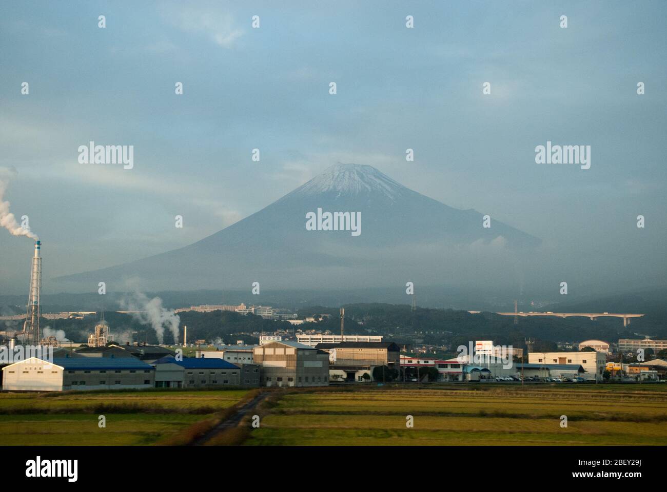 Blick auf den Fuji Fuji San in japanischen Feldern in Tokio, Japan Stockfoto