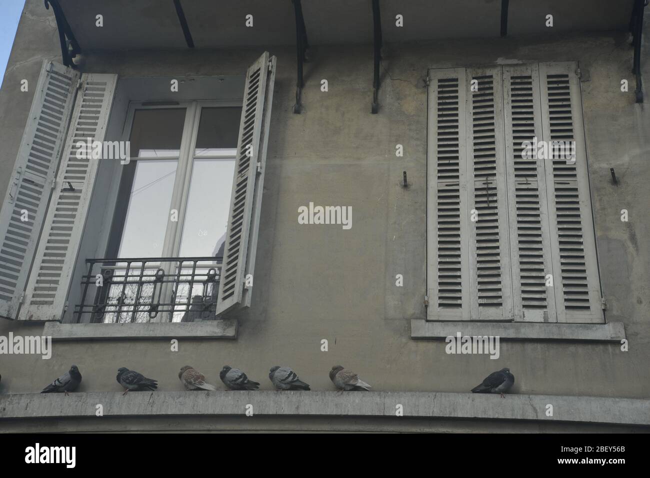Tauben, die in Paris auf einem Felsvorsprung Schutz finden, pasakdek Stockfoto
