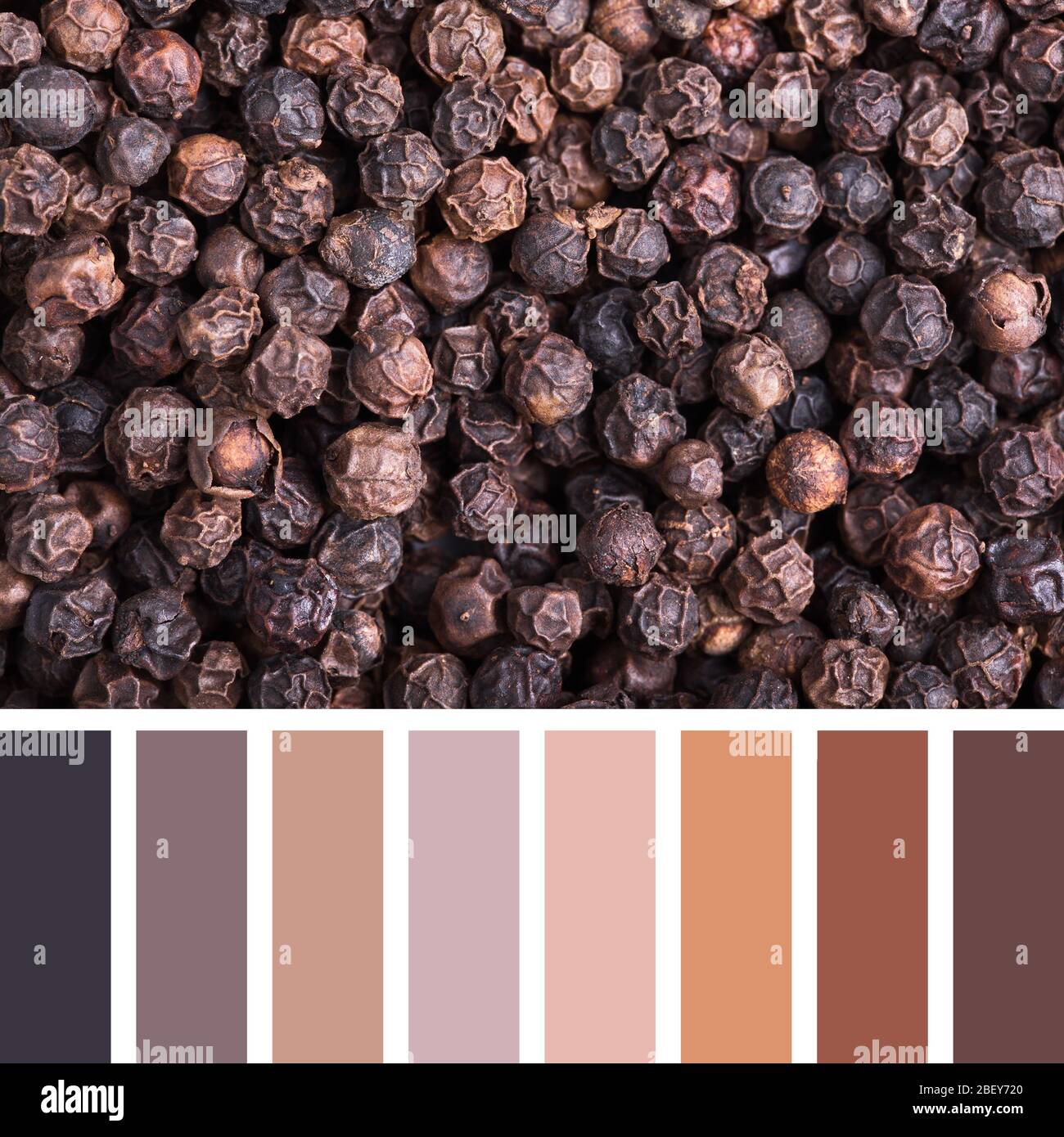 Hintergrund aus schwarzen Pfefferkörnern in einer Farbpalette mit kostenlosen Farbfeldern. Stockfoto