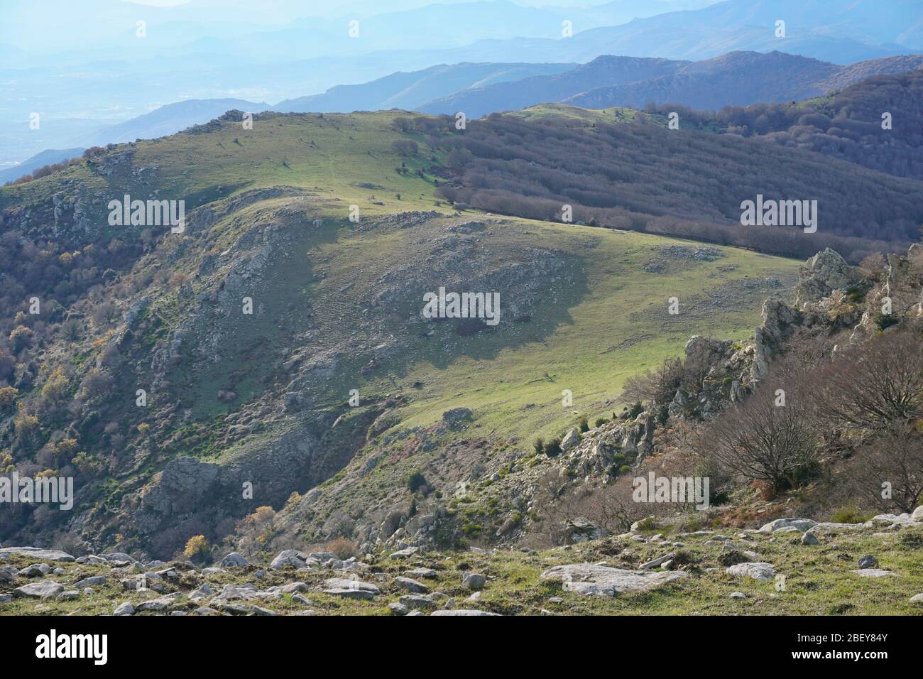 Pyrenäen-Gebirge im Albera-Massiv zwischen Frankreich und Spanien, Pyrenäen-Orientales, Katalonien Stockfoto