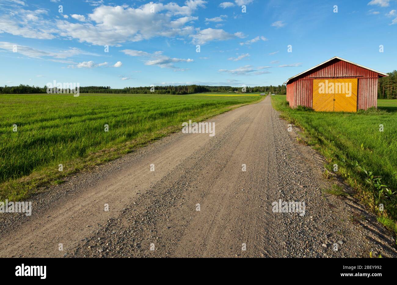Straßenrand Werkzeugschuppen an einer leeren Straße, die durch Ackerland in der finnischen Landschaft führt , Finnland Stockfoto