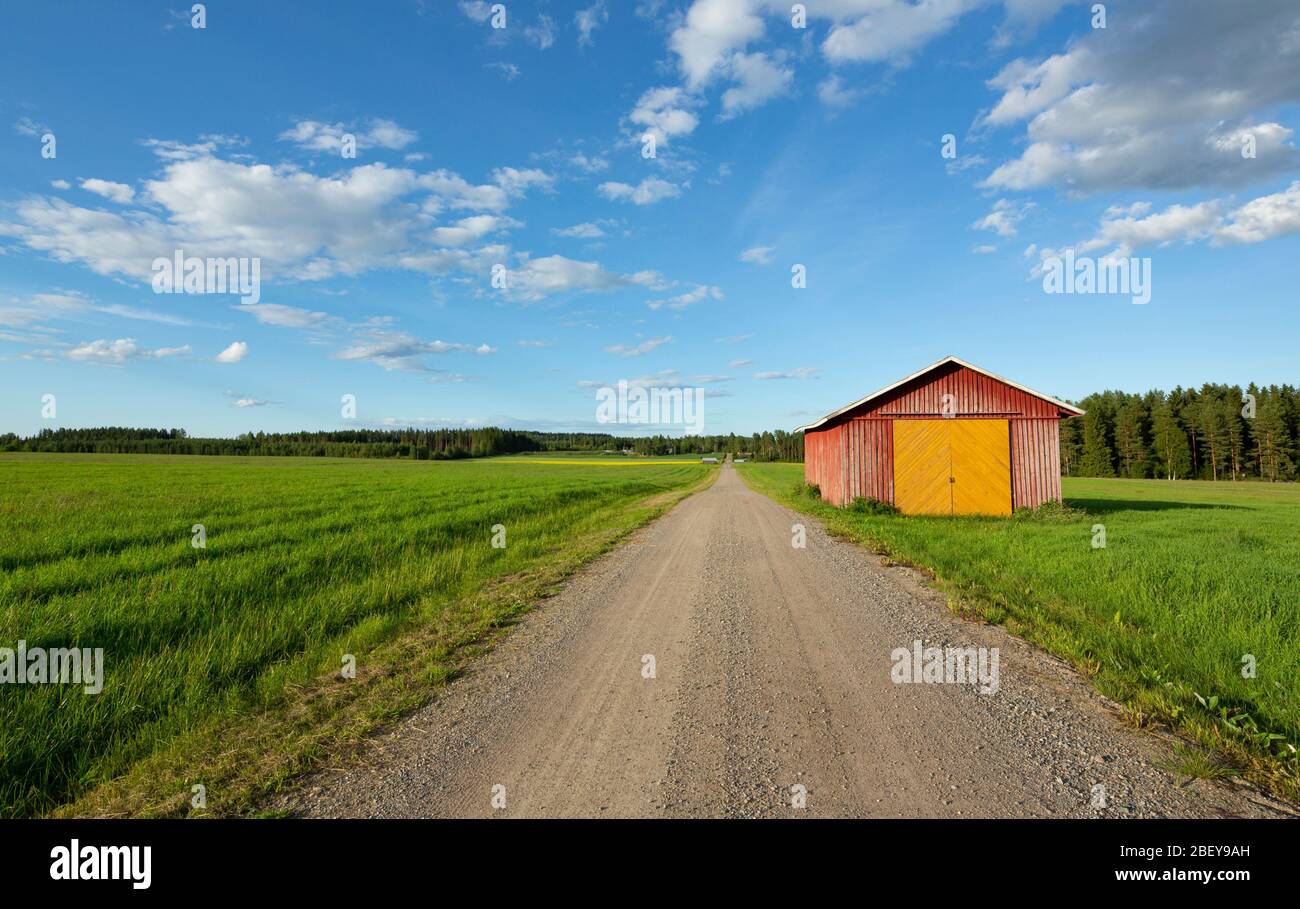 Straßenrand Werkzeugschuppen an einer leeren Straße, die durch Ackerland in der finnischen Landschaft führt , Finnland Stockfoto