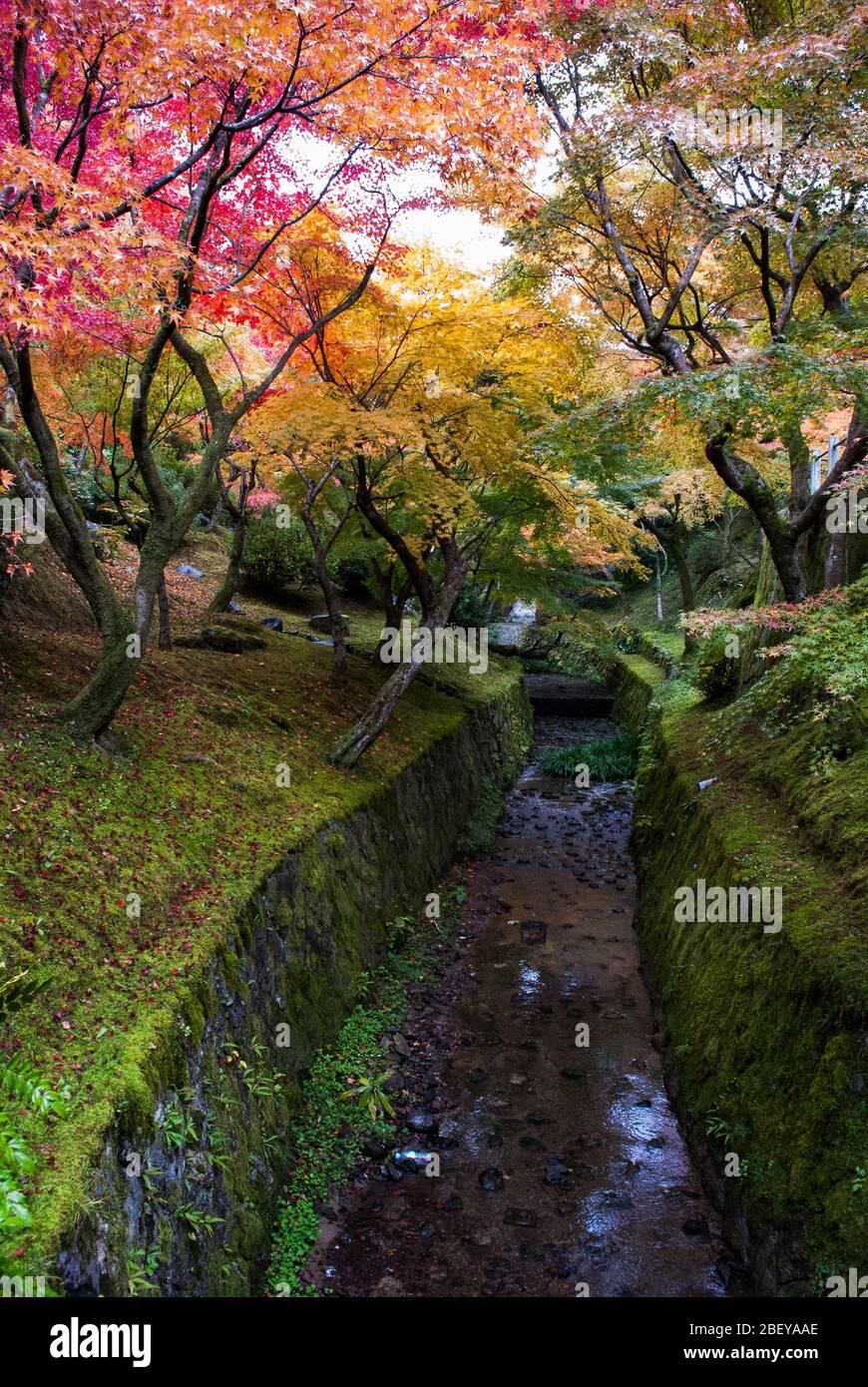 Tōfuku-ji-Tempel aus dem 15. Jahrhundert, 15-Chōme 778 Honmachi, Higashiyama-ku, Kyōto, Präfektur Kyoto Stockfoto