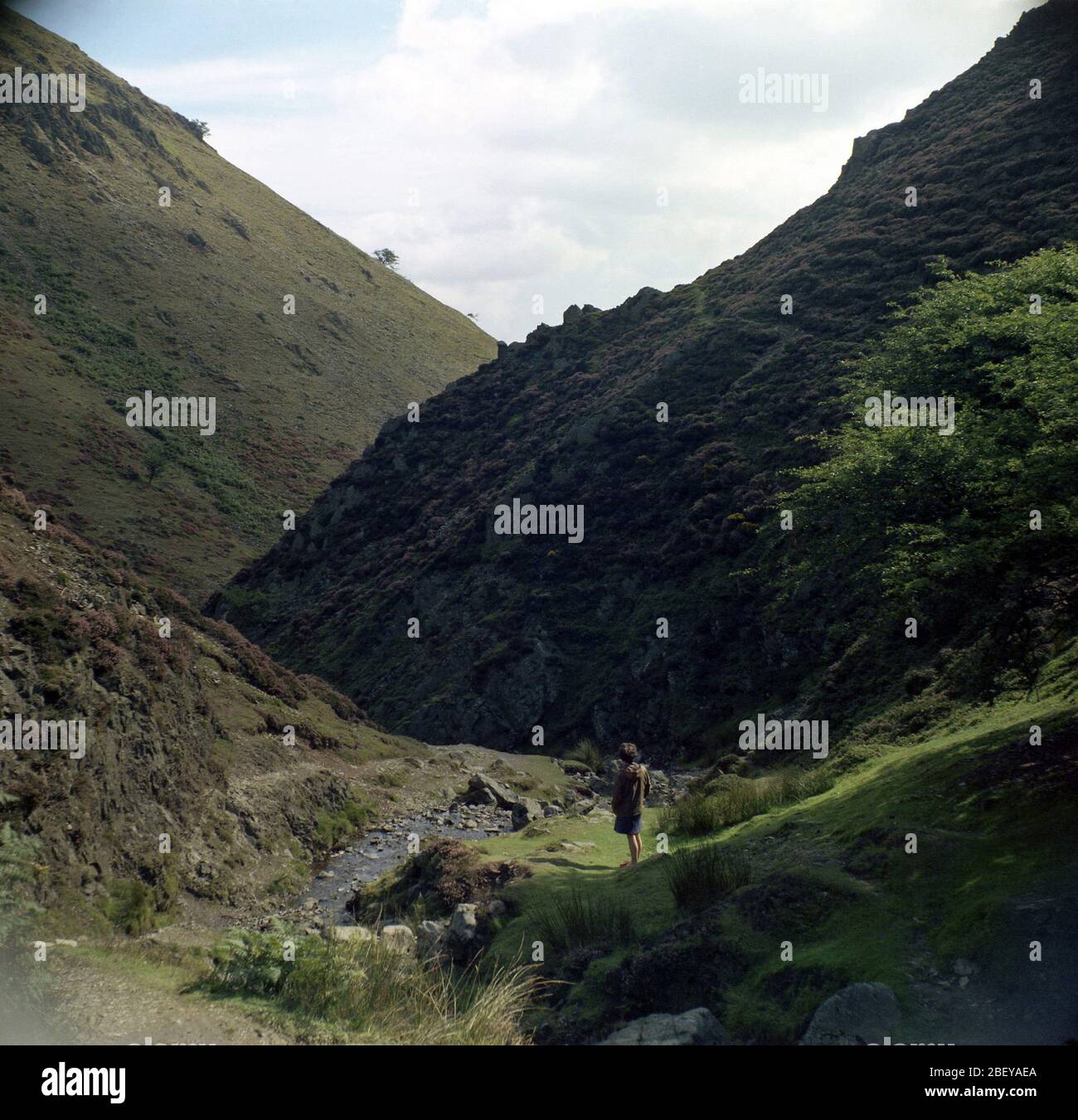 Ein Vintage-Foto einer Single Lady mit ihrem Rücken zur Kamera, die auf DEM Long Mynd, Shropshire, Großbritannien, EIN steiles Tal aufblickt Stockfoto