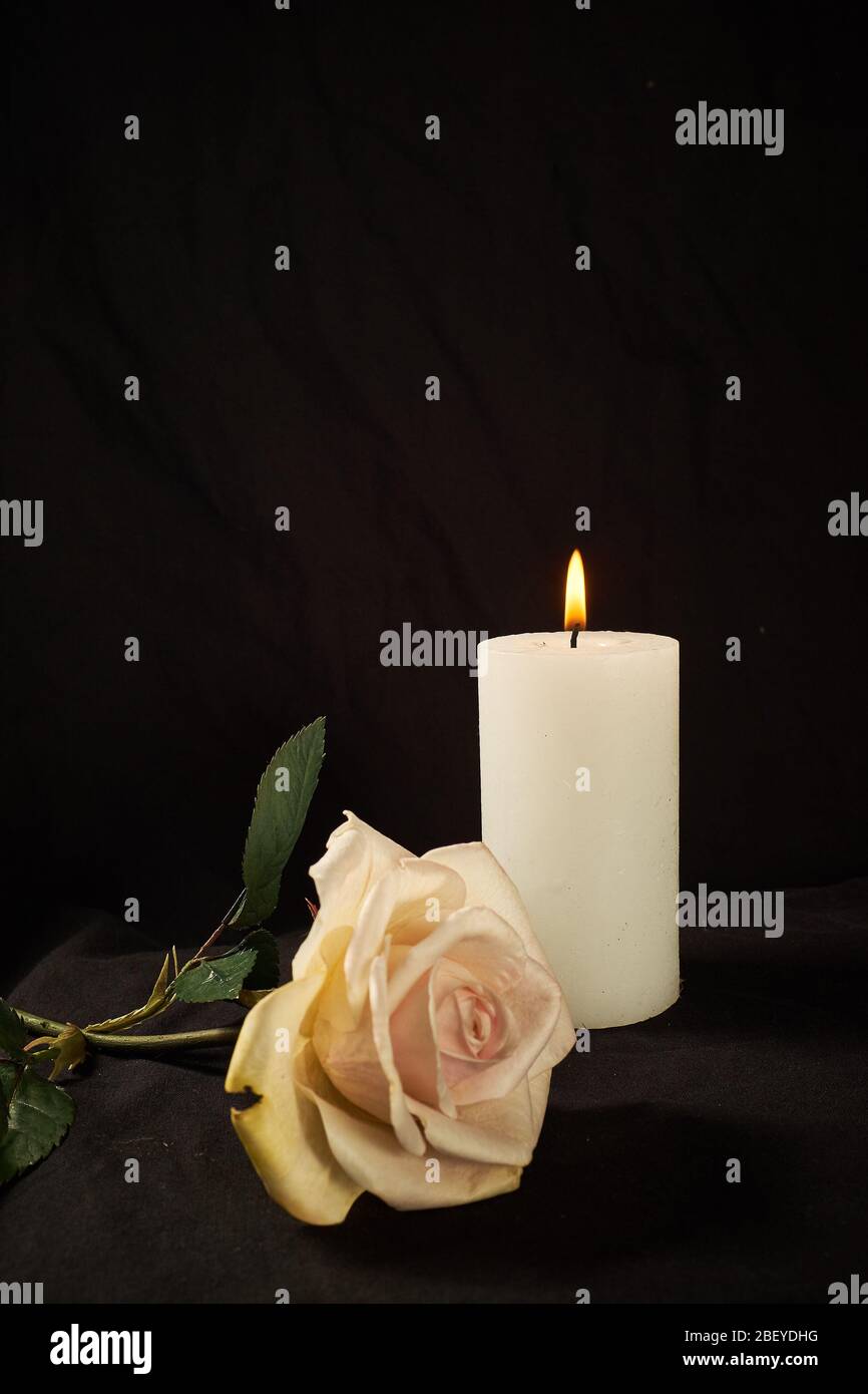 Brennende Kerze und eine schöne Rose auf schwarzem Hintergrund Stockfotografie