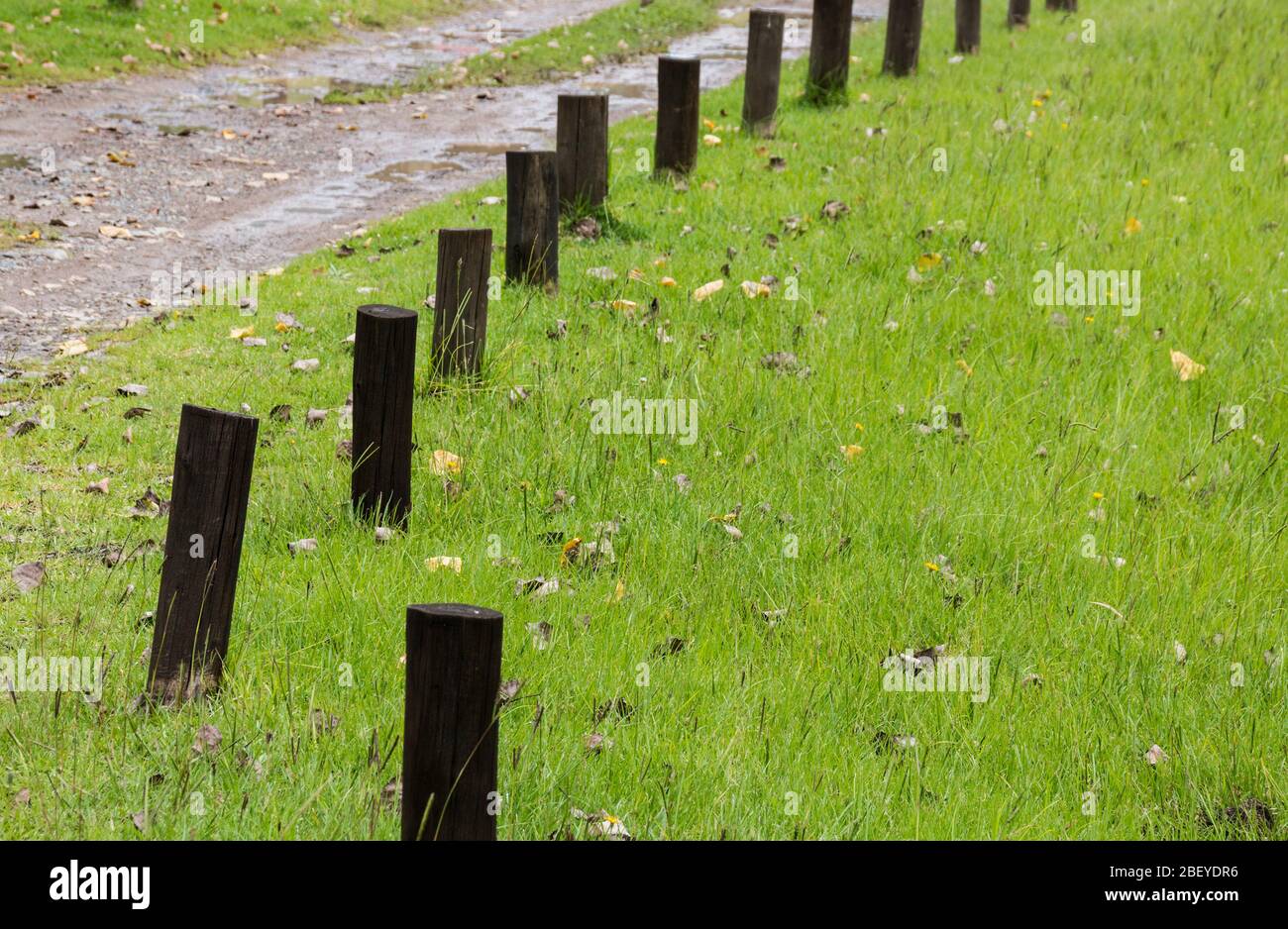 Creosot Pole in Grasfläche Markierungsrand der Auffahrt Stockfoto