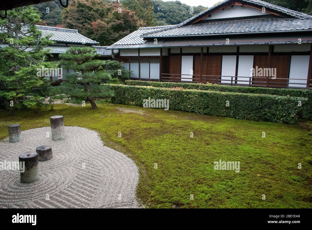 Buddhistischer Buddhismus Zen-Garten Tōfuku-ji-Tempel, 15-Chōme 778 Honmachi, Higashiyama-ku, Kyōto, Präfektur Kyoto Stockfoto