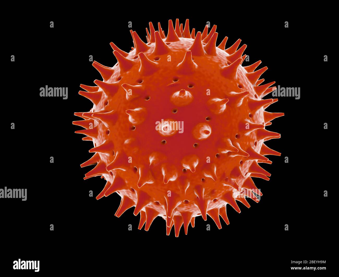 3d-Darstellung von bunten Pollen von Blumen, Pflanzen und Bäumen. Simulation wissenschaftlicher Mikroskopbilder, isoliert auf schwarzem Hintergrund. Stockfoto