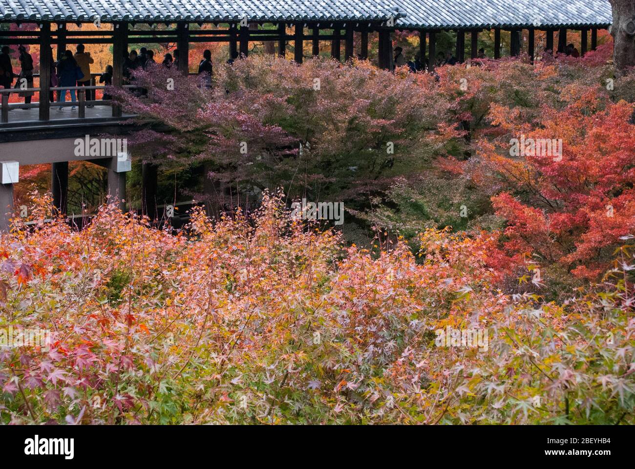 Tōfuku-ji-Tempel aus dem 15. Jahrhundert, 15-Chōme 778 Honmachi, Higashiyama-ku, Kyōto, Präfektur Kyoto Stockfoto