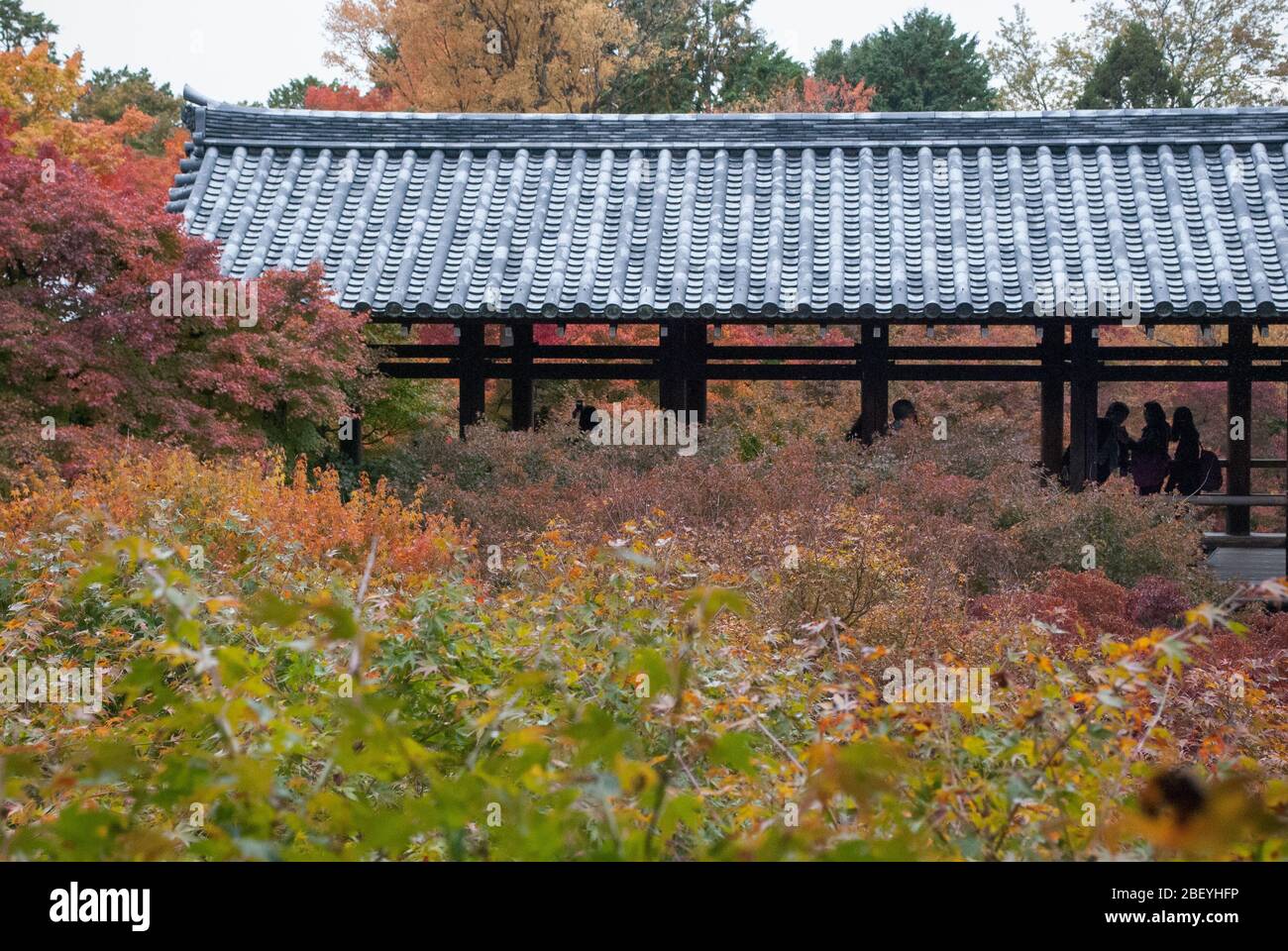 Tōfuku-ji-Tempel aus dem 15. Jahrhundert, 15-Chōme 778 Honmachi, Higashiyama-ku, Kyōto, Präfektur Kyoto Stockfoto