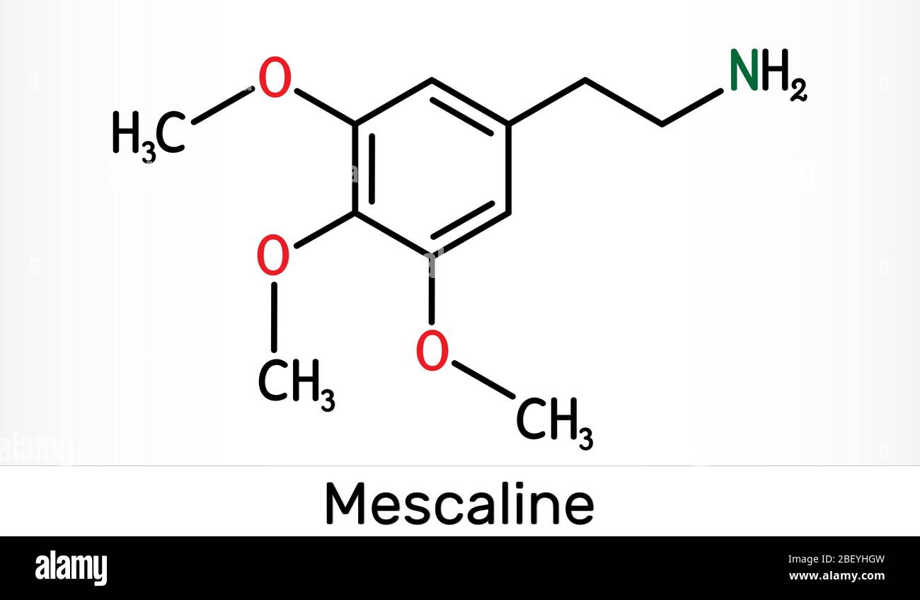 Meskalin-Molekül. Es ist halluzinogen, psychedelisch, Phenethylamin Alkaloid. Chemische Formel des Skeletts. Abbildung Stockfoto
