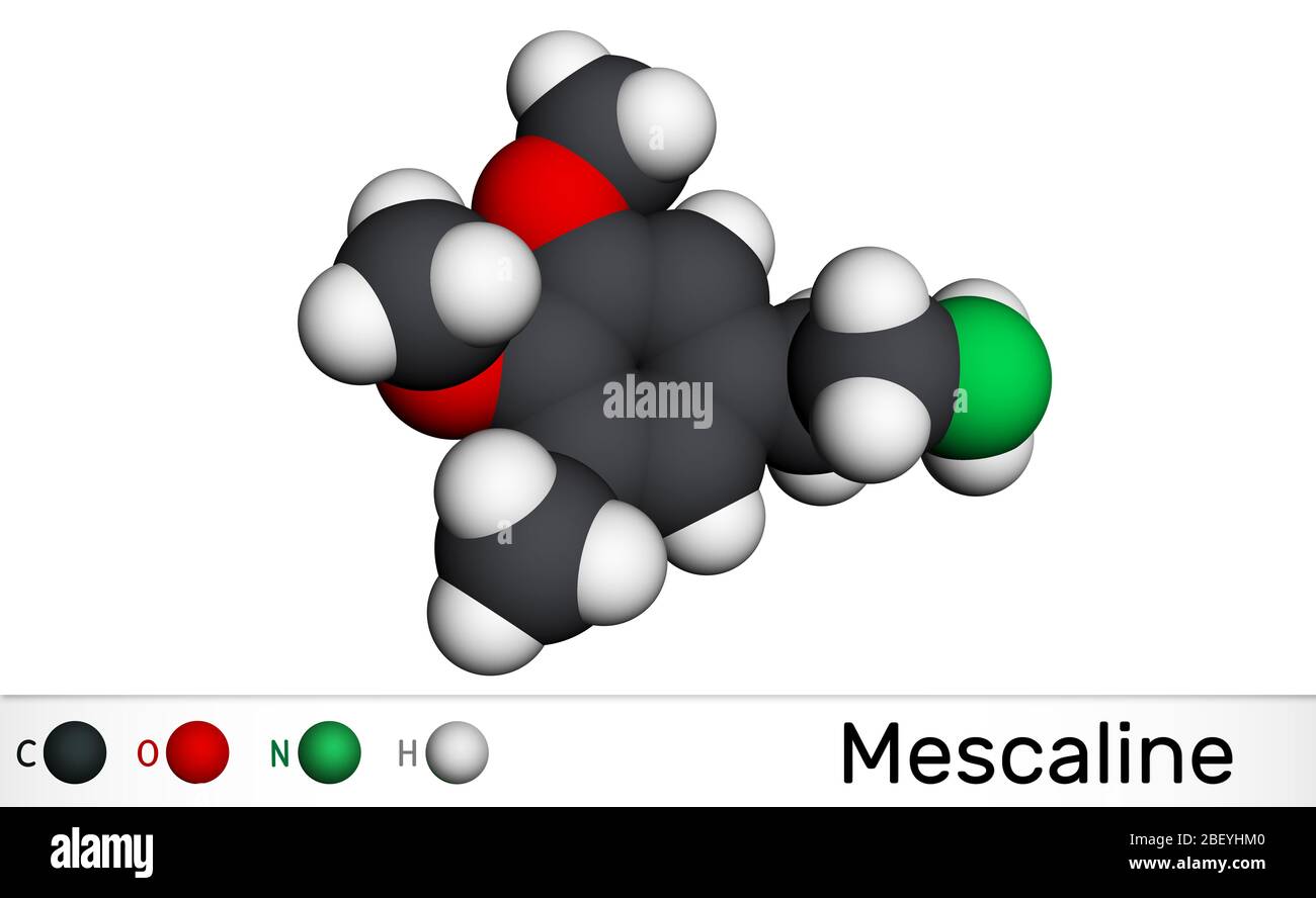 Meskalin-Molekül. Es ist halluzinogenes, psychedelisches, phenethylamin Alkaloid Molekularmodell. 3D-Rendering Stockfoto