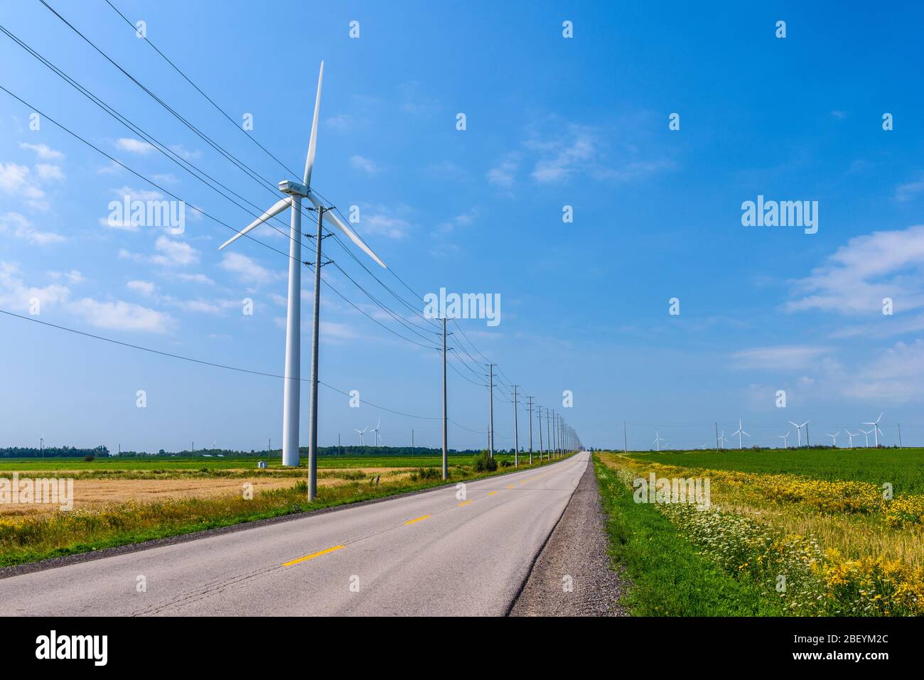 Windkraft-Windkraftanlage Dufferin auf der Dufferin County Road 17, Shelburne, Ontario, Kanada Stockfoto