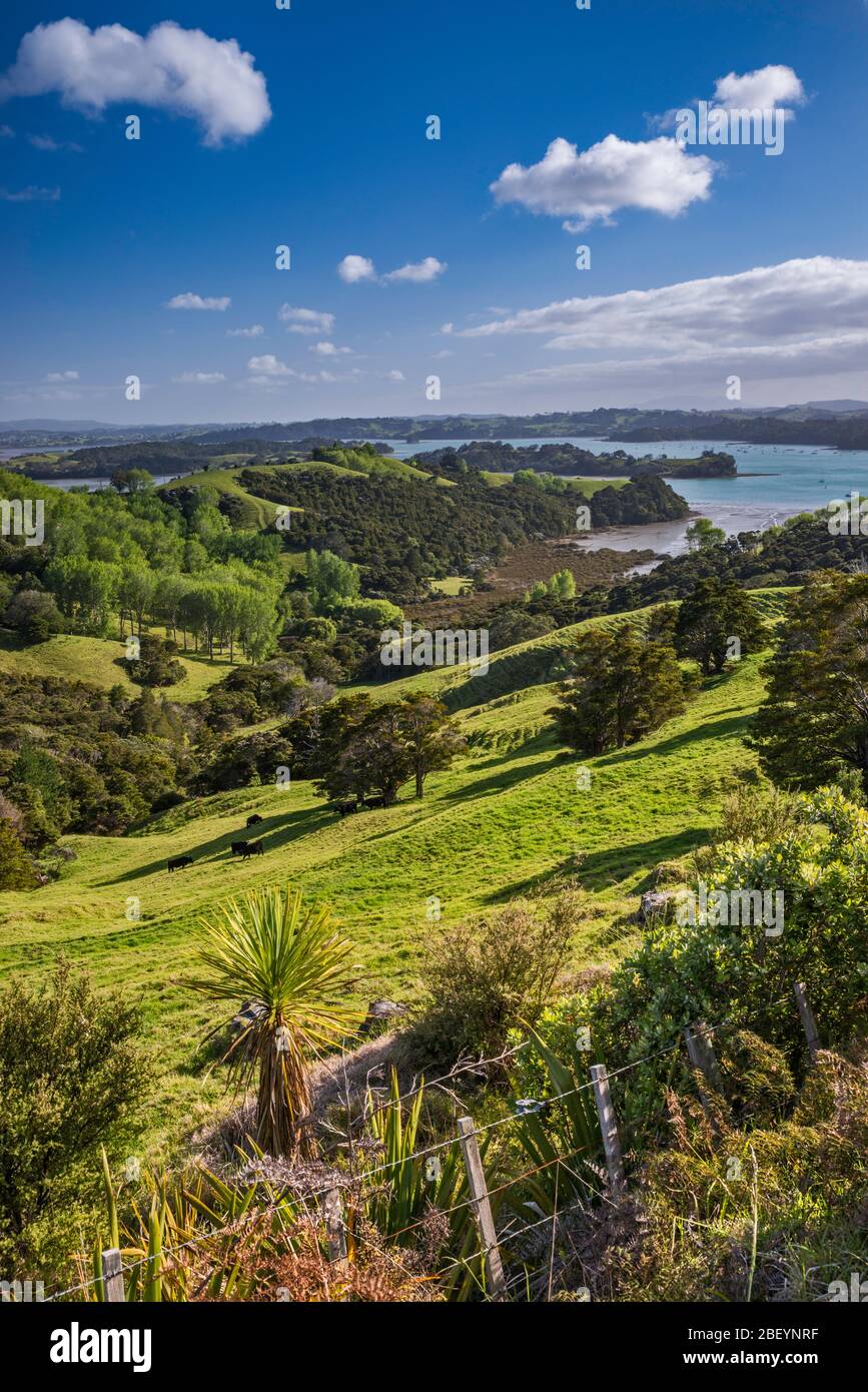 Kawau Bay, Blick über Hügel in der Nähe von Snells Beach, Mahurangi Peninsula, Auckland Region, Nordinsel, Neuseeland Stockfoto