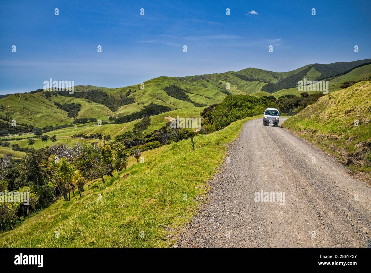 Moehau Range Hills, Port Jackson Road, in der Nähe von Port Jackson, Coromandel Peninsula, Waikato Region, North Island, Neuseeland Stockfoto