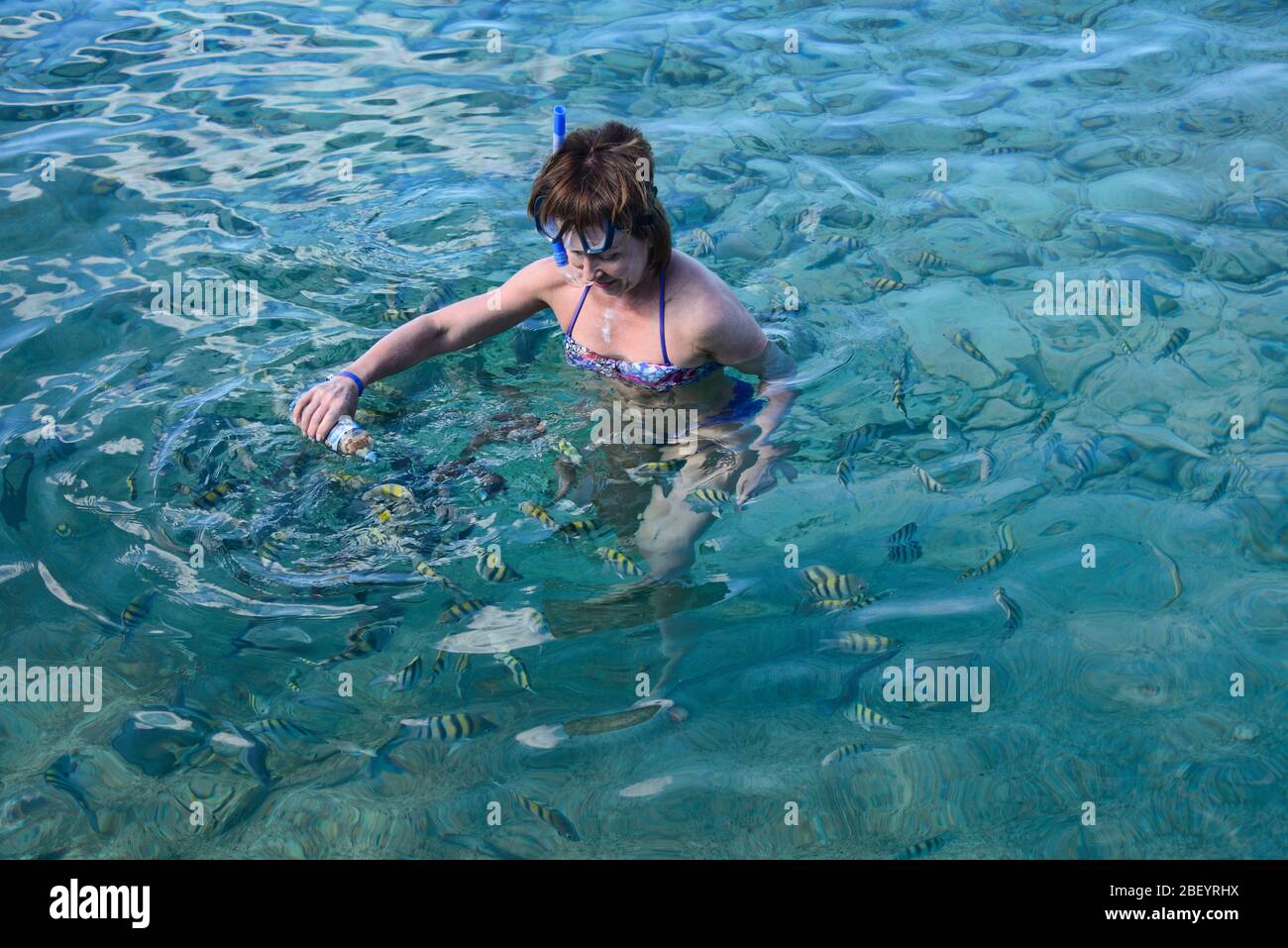 Schnorcheln in Caleta Buena, Playa Giron, Kuba Stockfoto