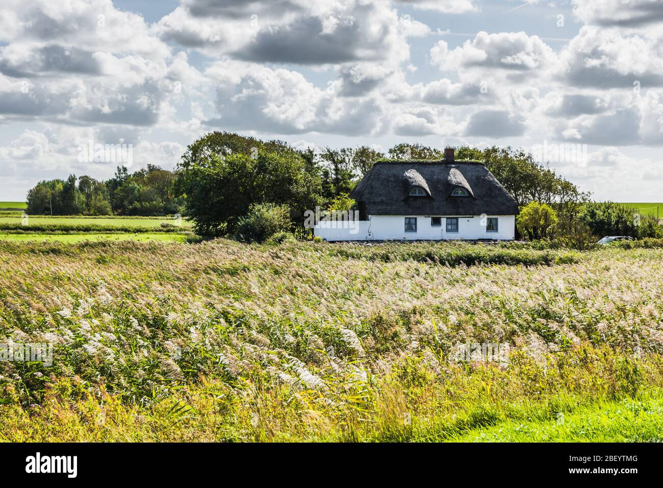 Bauernhaus in grüner ländlicher Landschaft auf Nordstrand Halbinsel, Nordfriesland, Deutschland Stockfoto