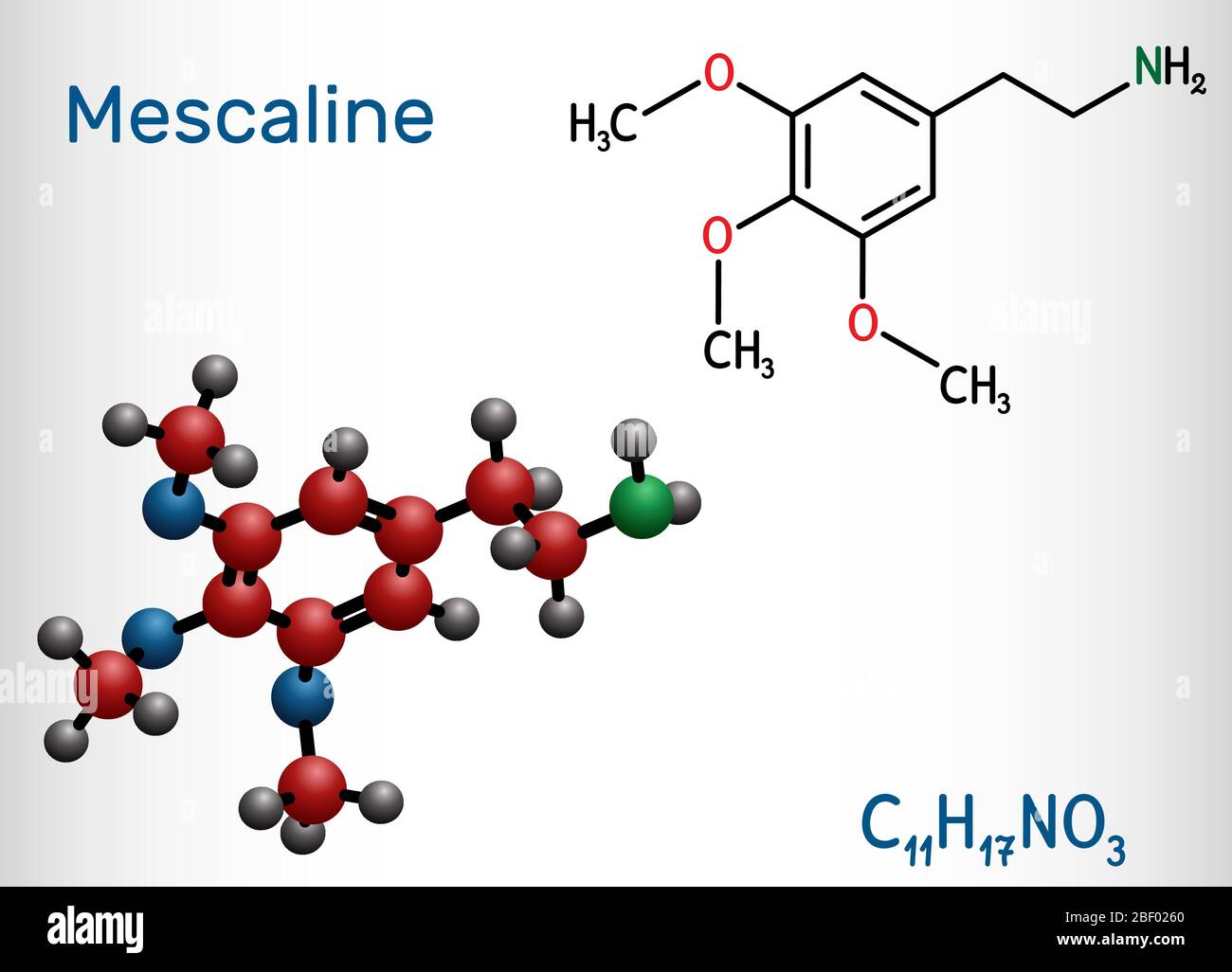 Meskalin-Molekül. Es ist halluzinogen, psychedelisch, Phenethylamin Alkaloid. Strukturelle chemische Formel und Molekülmodell. Vektorgrafik Stock Vektor