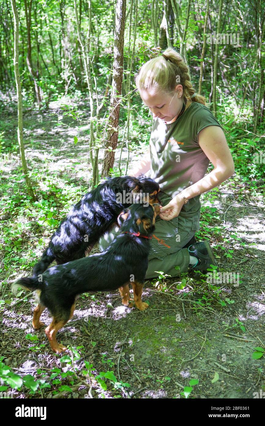 Tochter des Familienunternehmens Prodan Tartufi bei einer Trüffelsuche mit Hunden. Trüffel können von Hunden im Wald in der Nähe gerochen, gegraben und gefunden werden. Stockfoto