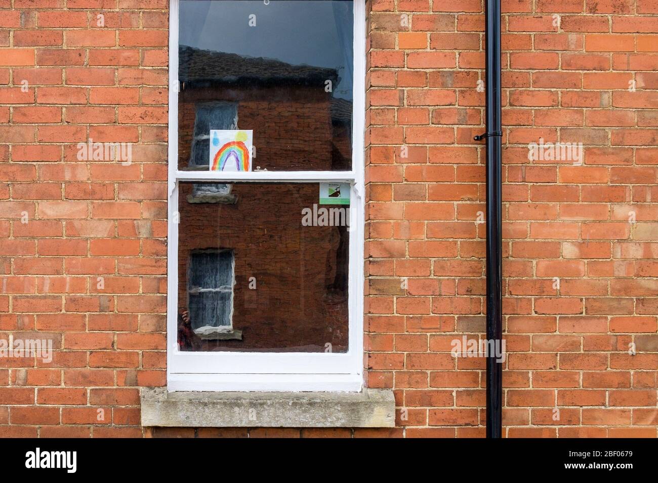 Chippenham, Wiltshire, Großbritannien, 16. April 2020. Da die Nation heute Abend erneut klatschen muss, um ihre Unterstützung für den NHS zu zeigen, wird in einem Fenster eines Hauses in Chippenham, Wiltshire, eine Kinderzeichnung eines Regenbogens (ein Symbol der Unterstützung für Menschen, die Solidarität mit den NHS-Arbeitern zeigen wollen) abgebildet. Kredit: Lynchpics/Alamy Live News Stockfoto