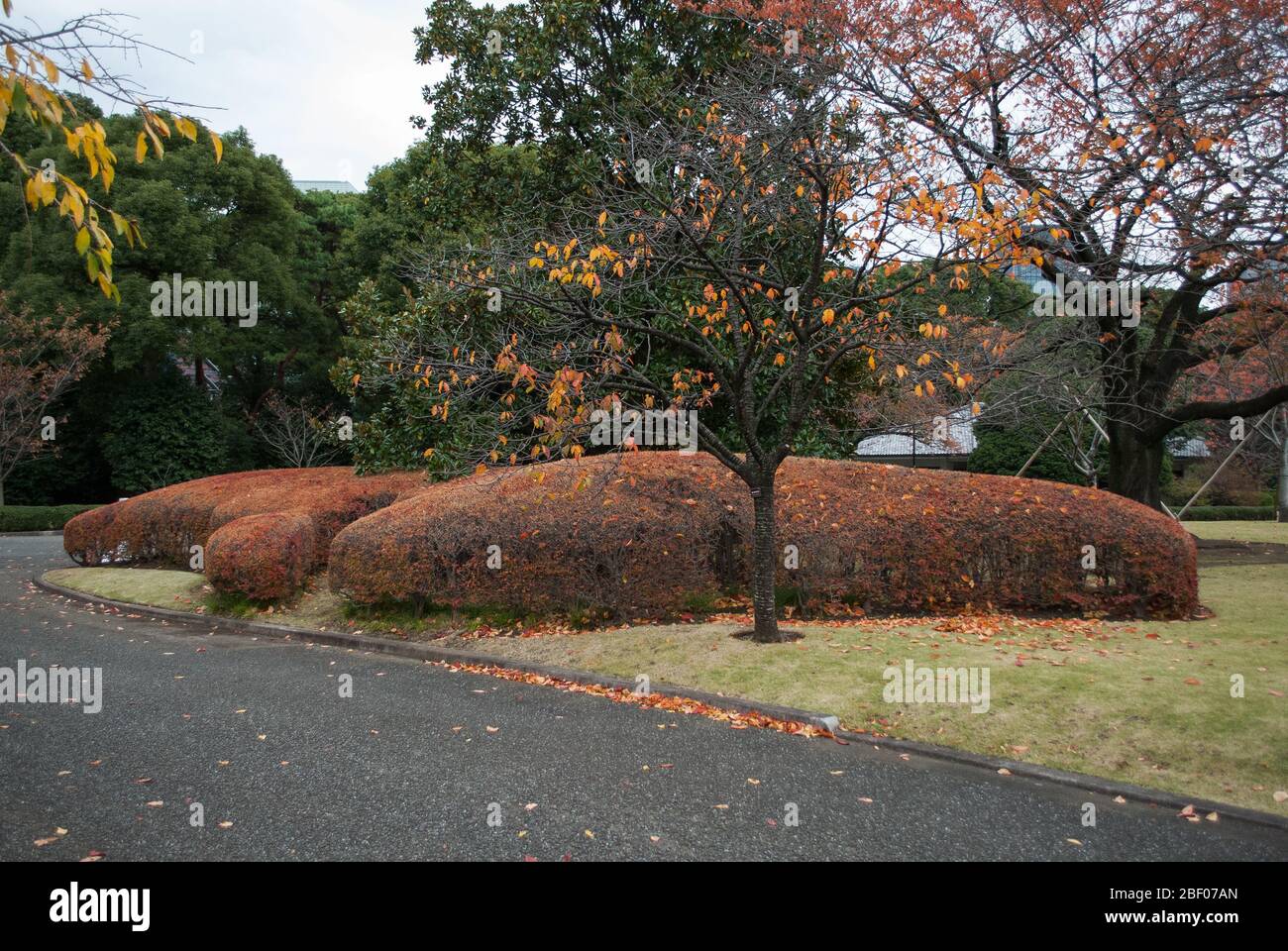 Alte Edo-Burg Tokyo Imperial Palace, Chiyoda Ward, Tokyo, Japan Stockfoto