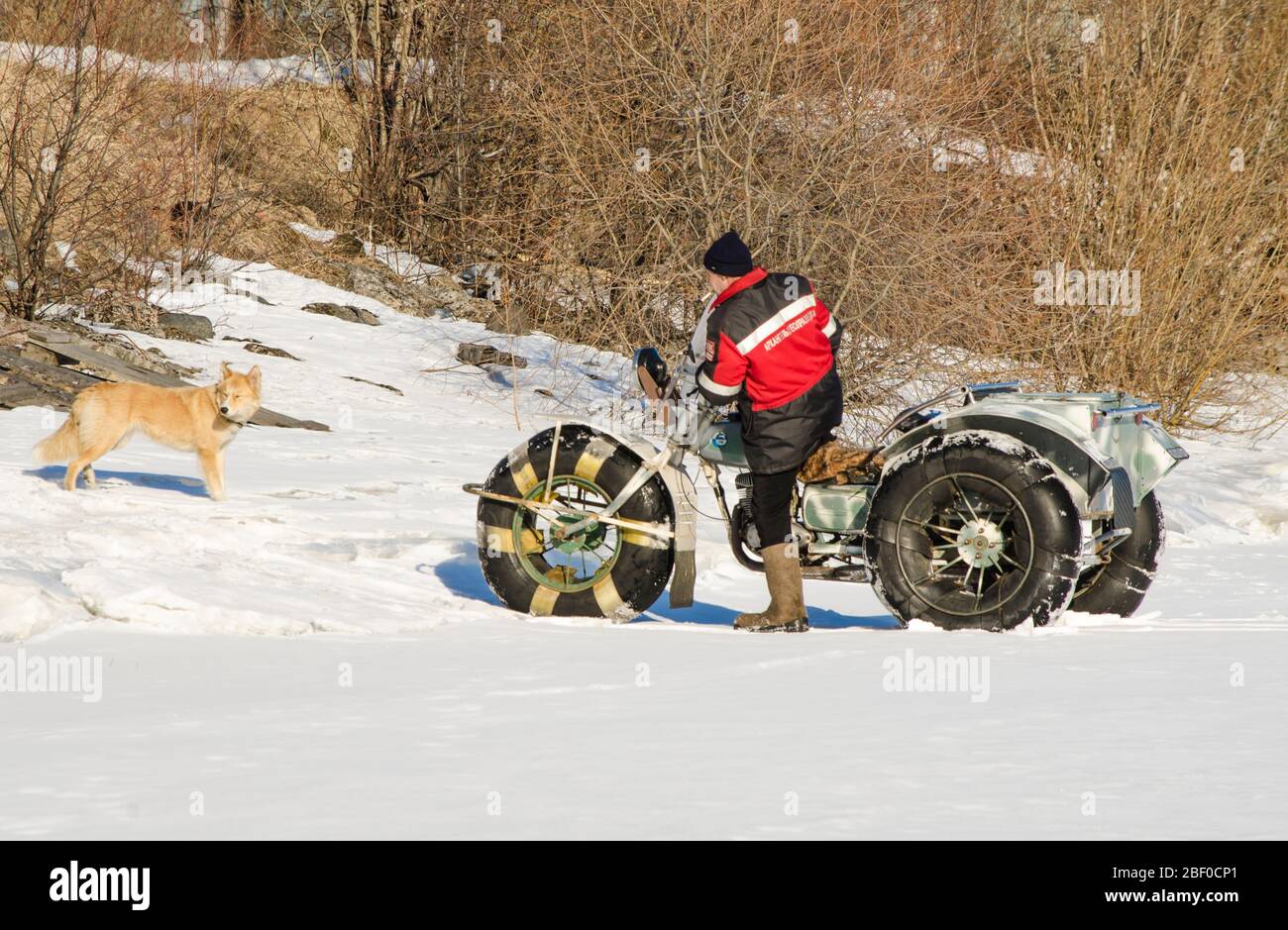 April 2020 - Archangelsk. Geländewagen auf Niederdruckrädern. Russland, Region Archangelsk Stockfoto